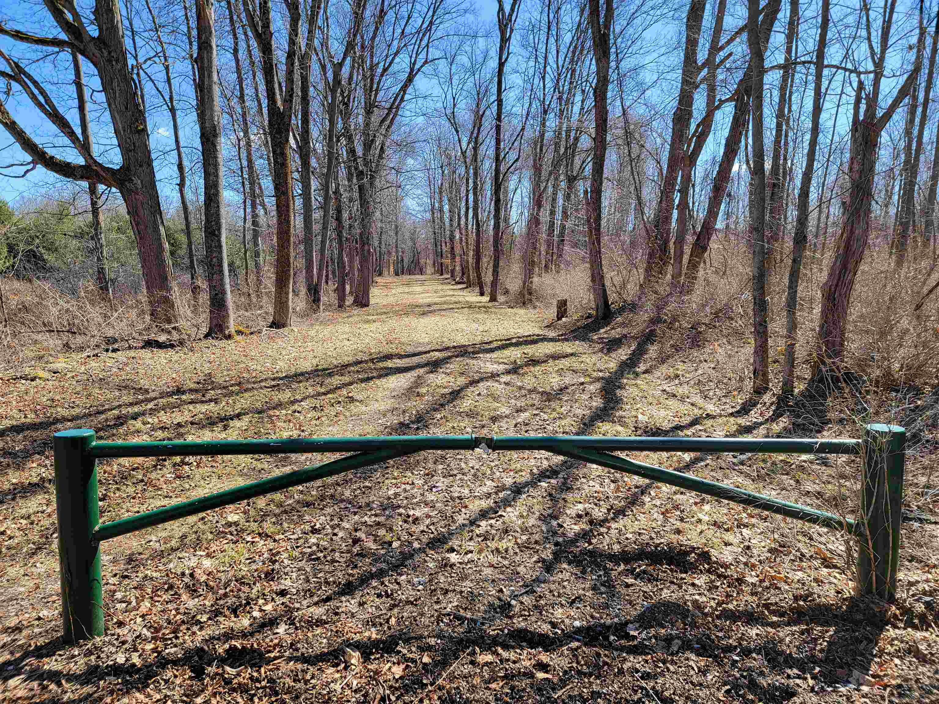 399 Bard Road photo 49