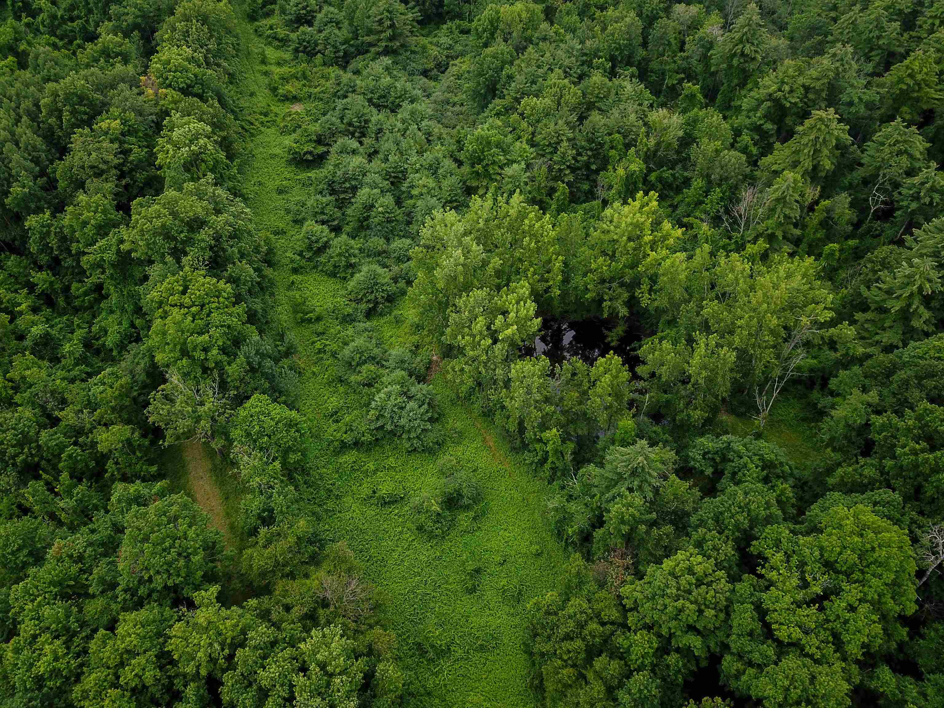 399 Bard Road photo 5