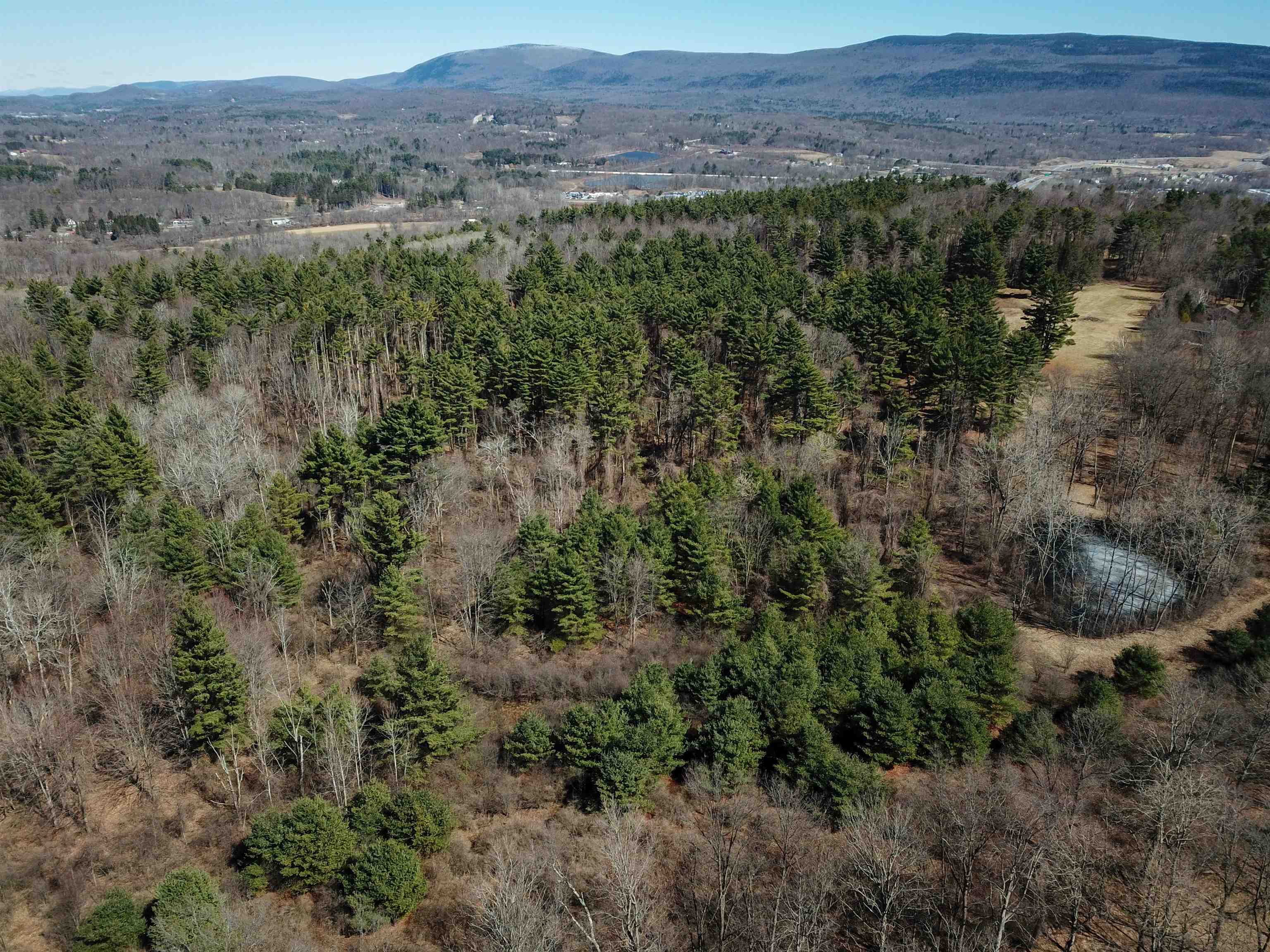 399 Bard Road photo 51