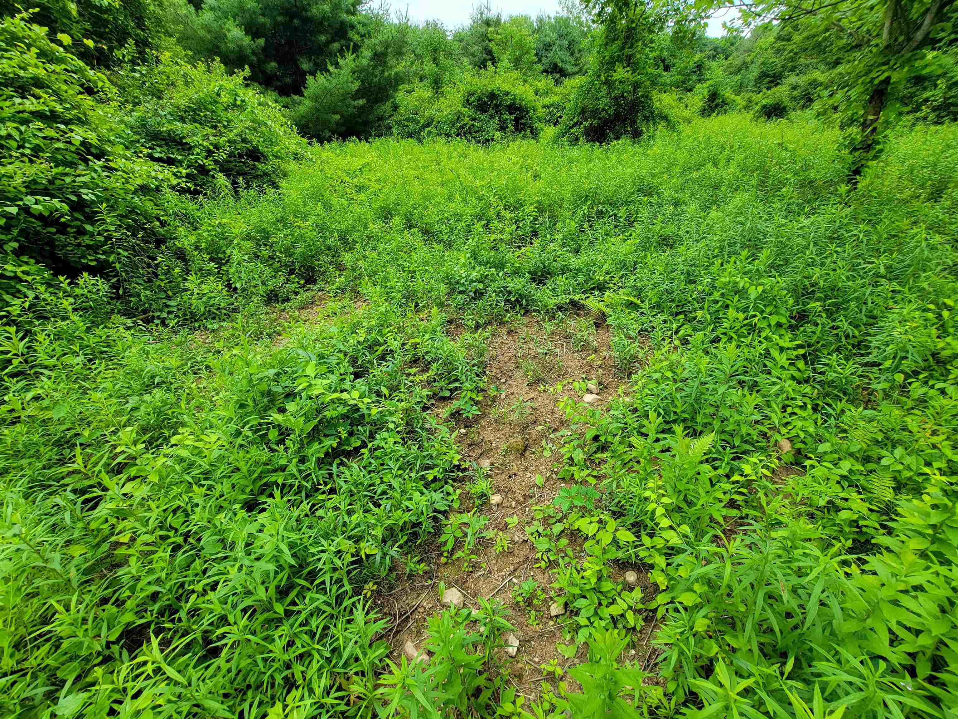 399 Bard Road photo 53