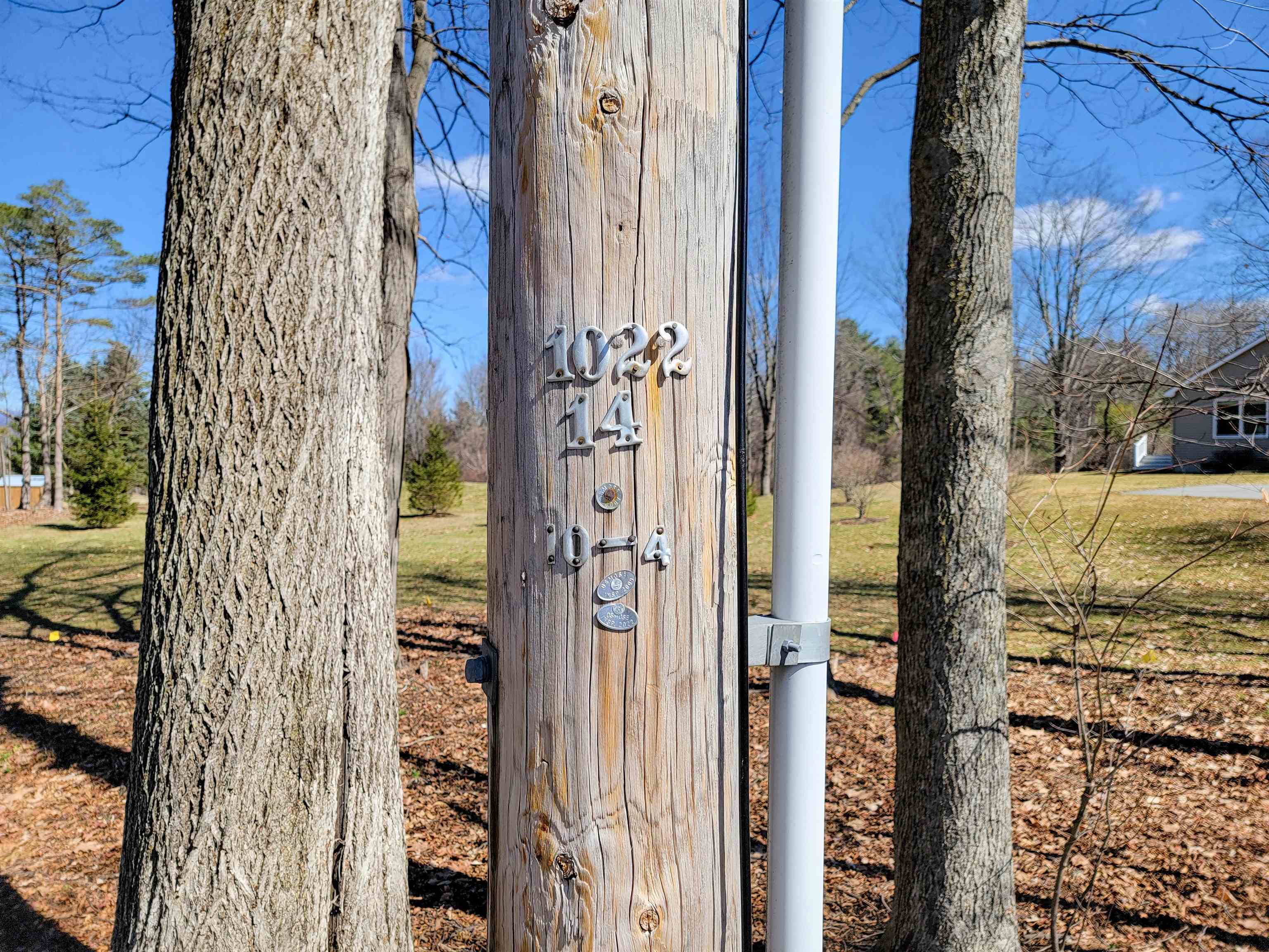 399 Bard Road photo 60