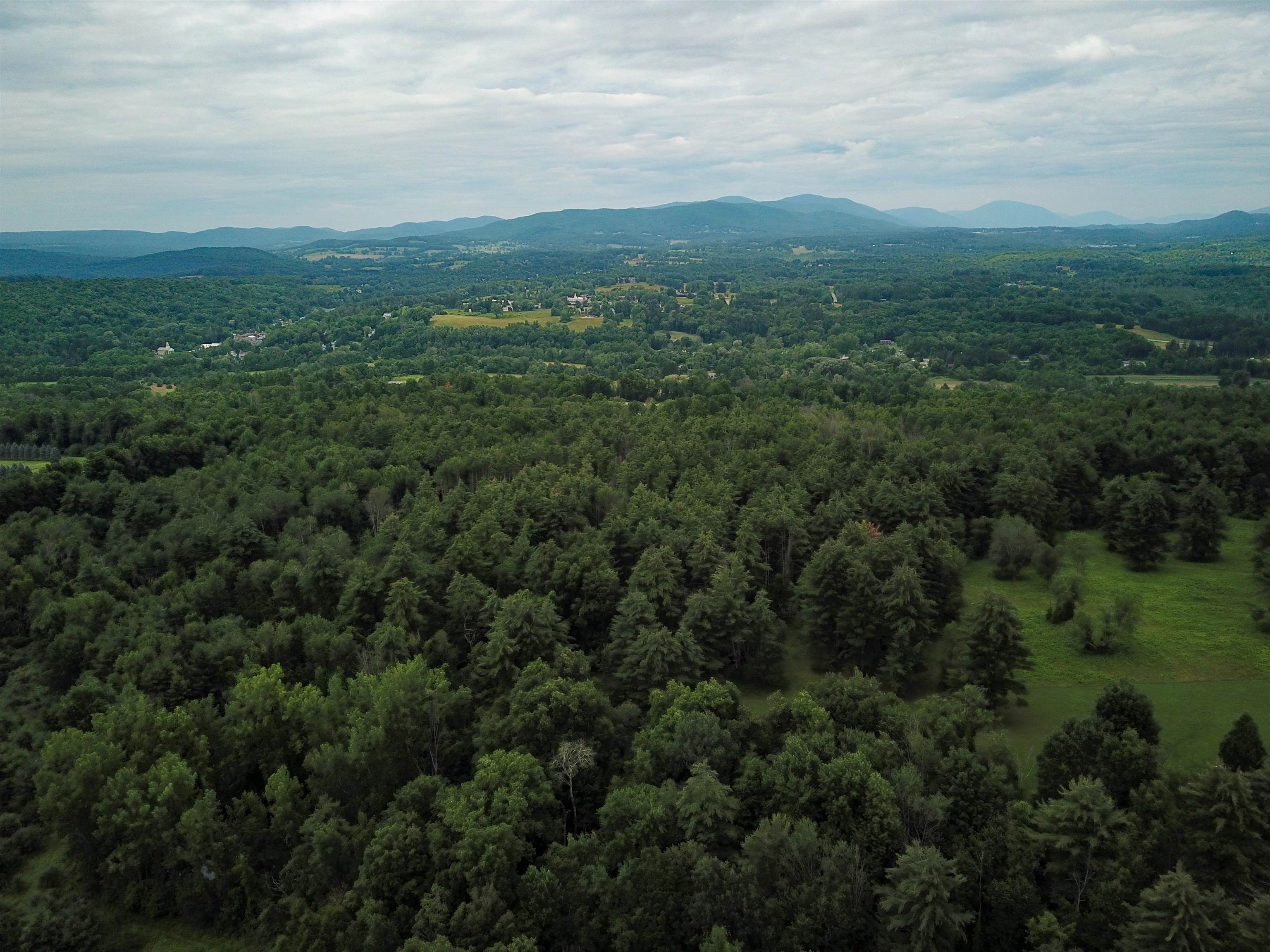399 Bard Road photo 7