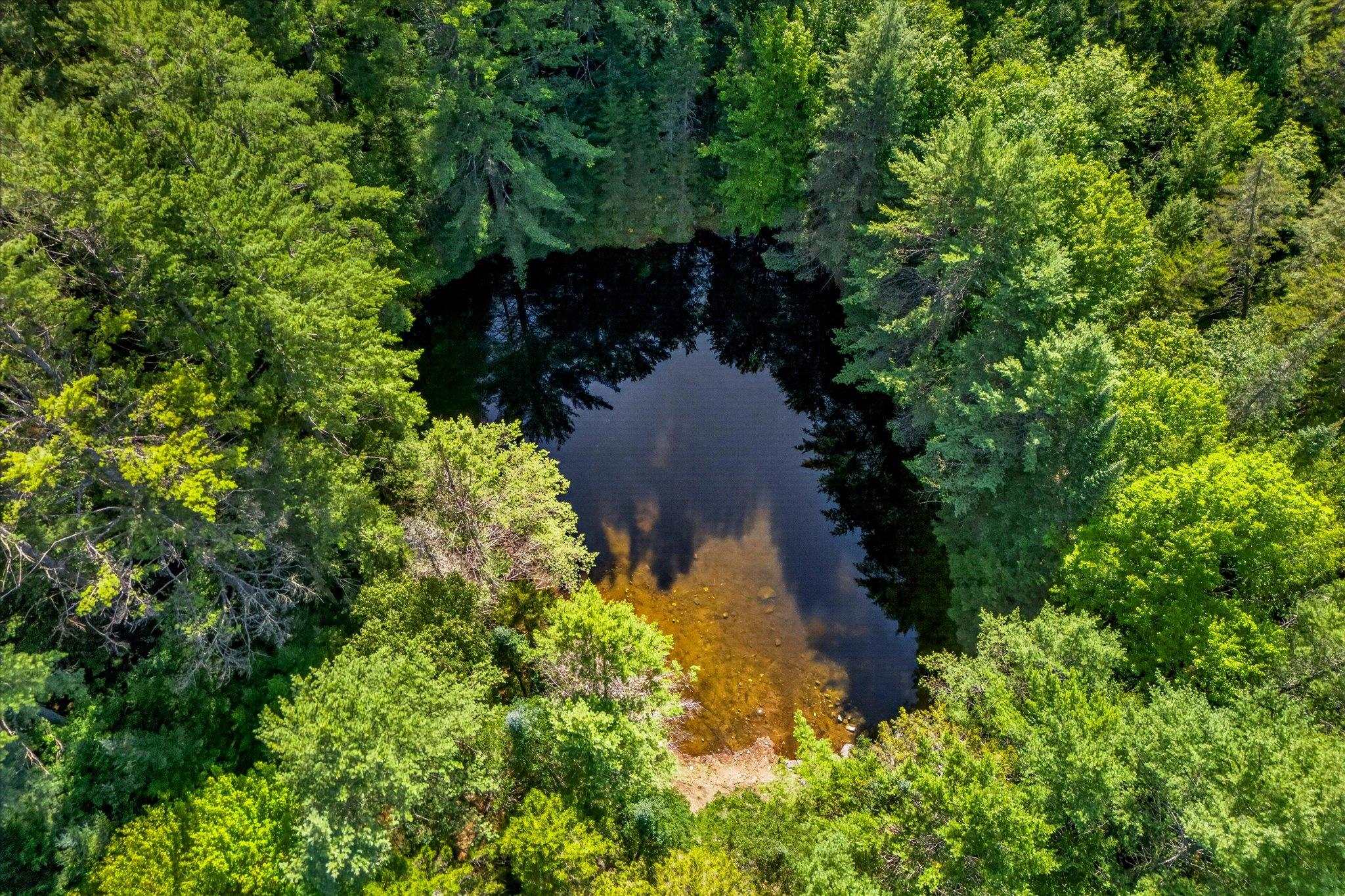 192 Vermont Route 100 photo 7