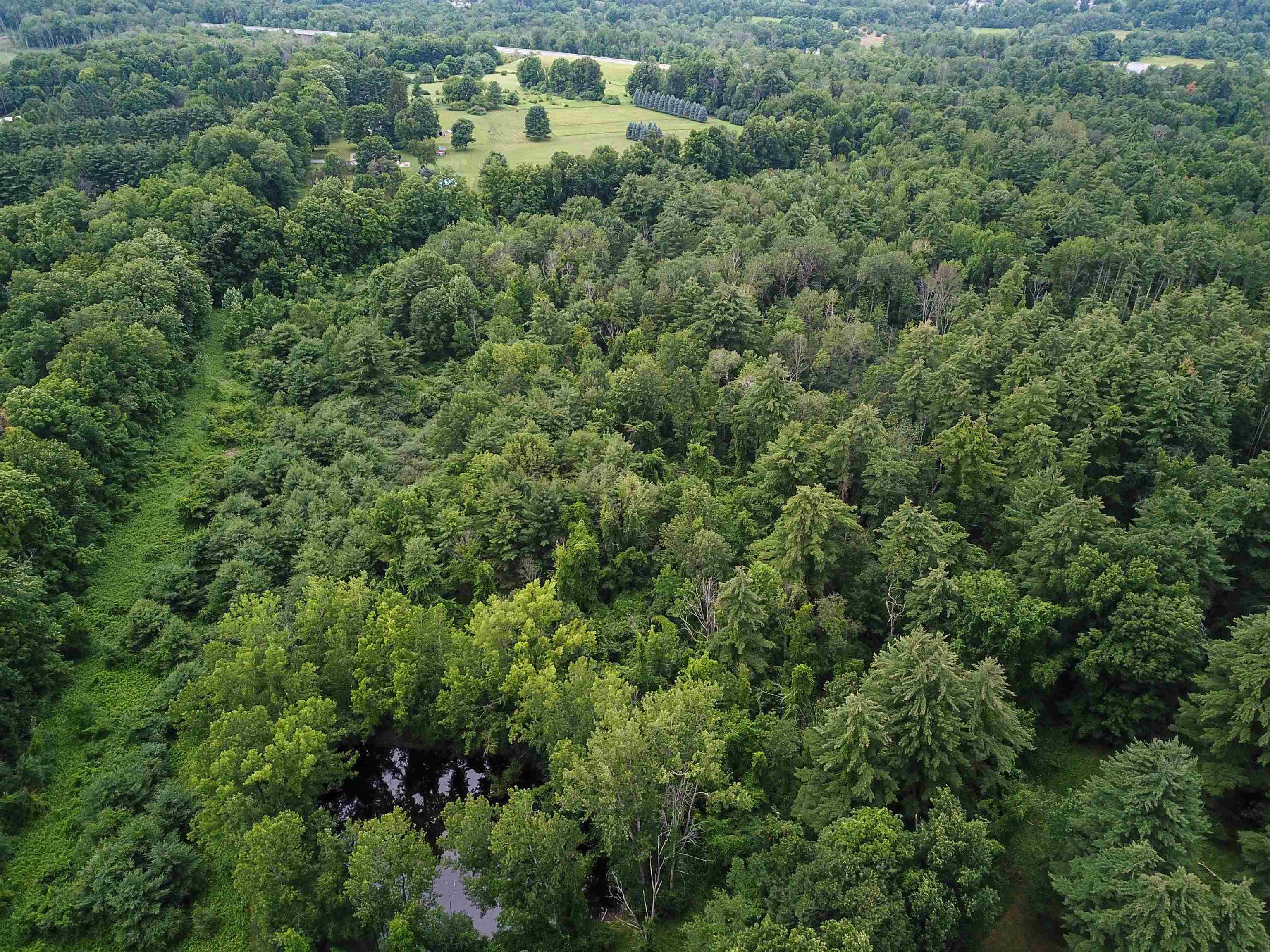 399 Bard Road photo 9