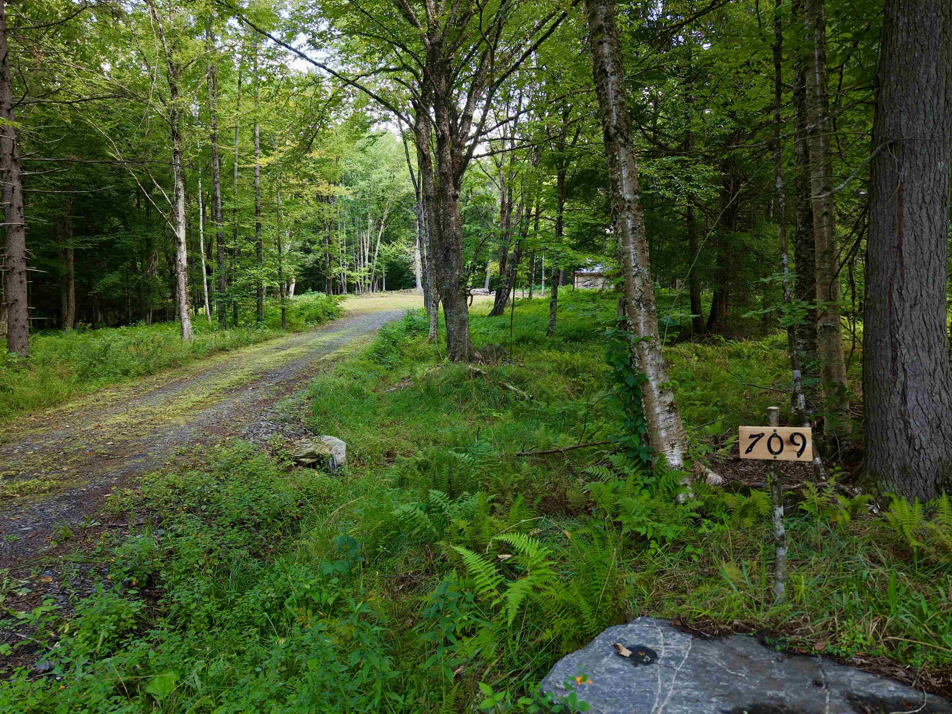 709 Bertha Springs Road photo 1