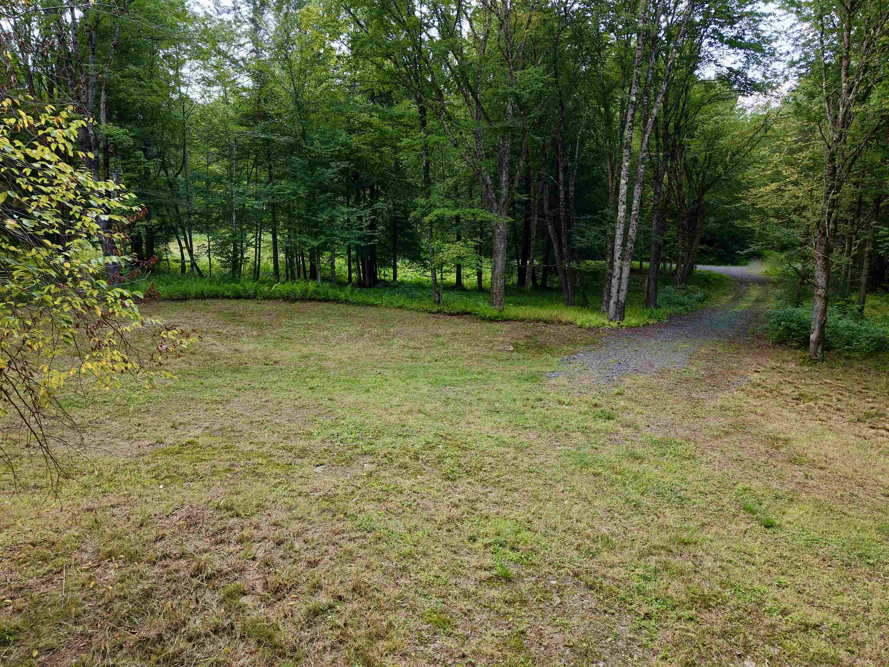 709 Bertha Springs Road photo 10