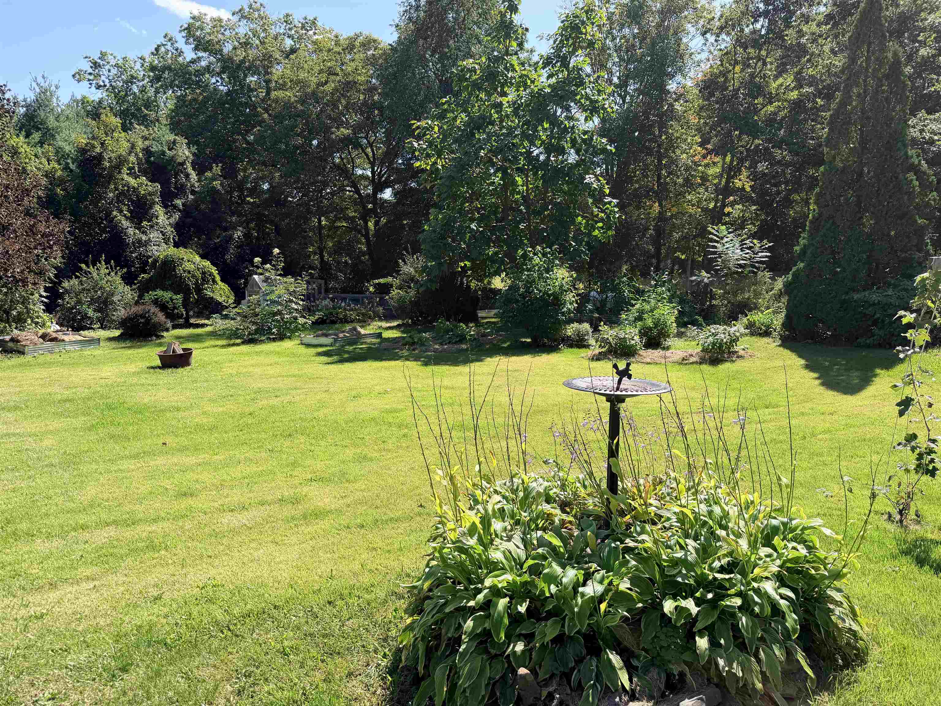44 Knox Hill Road photo 10