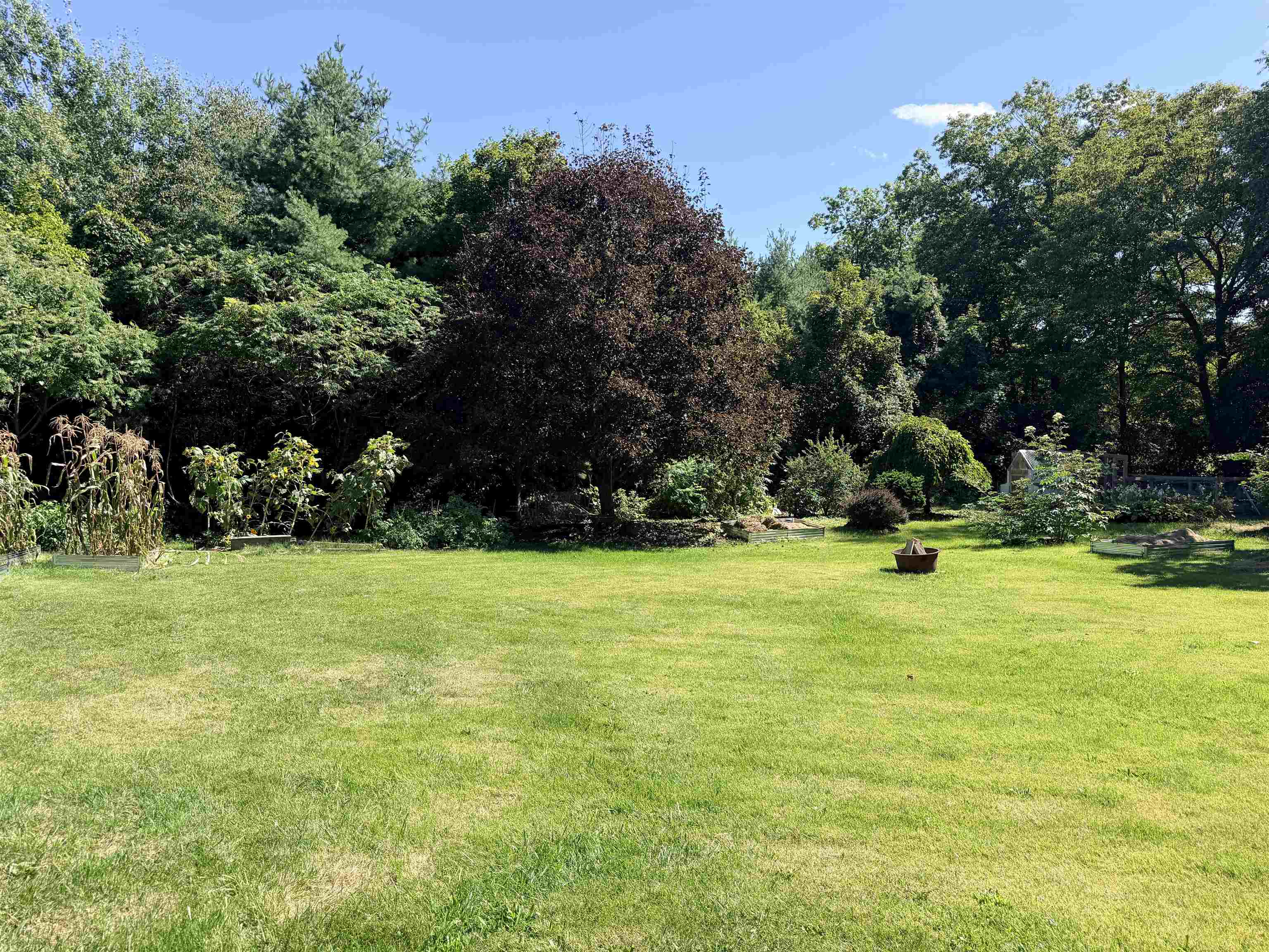 44 Knox Hill Road photo 11
