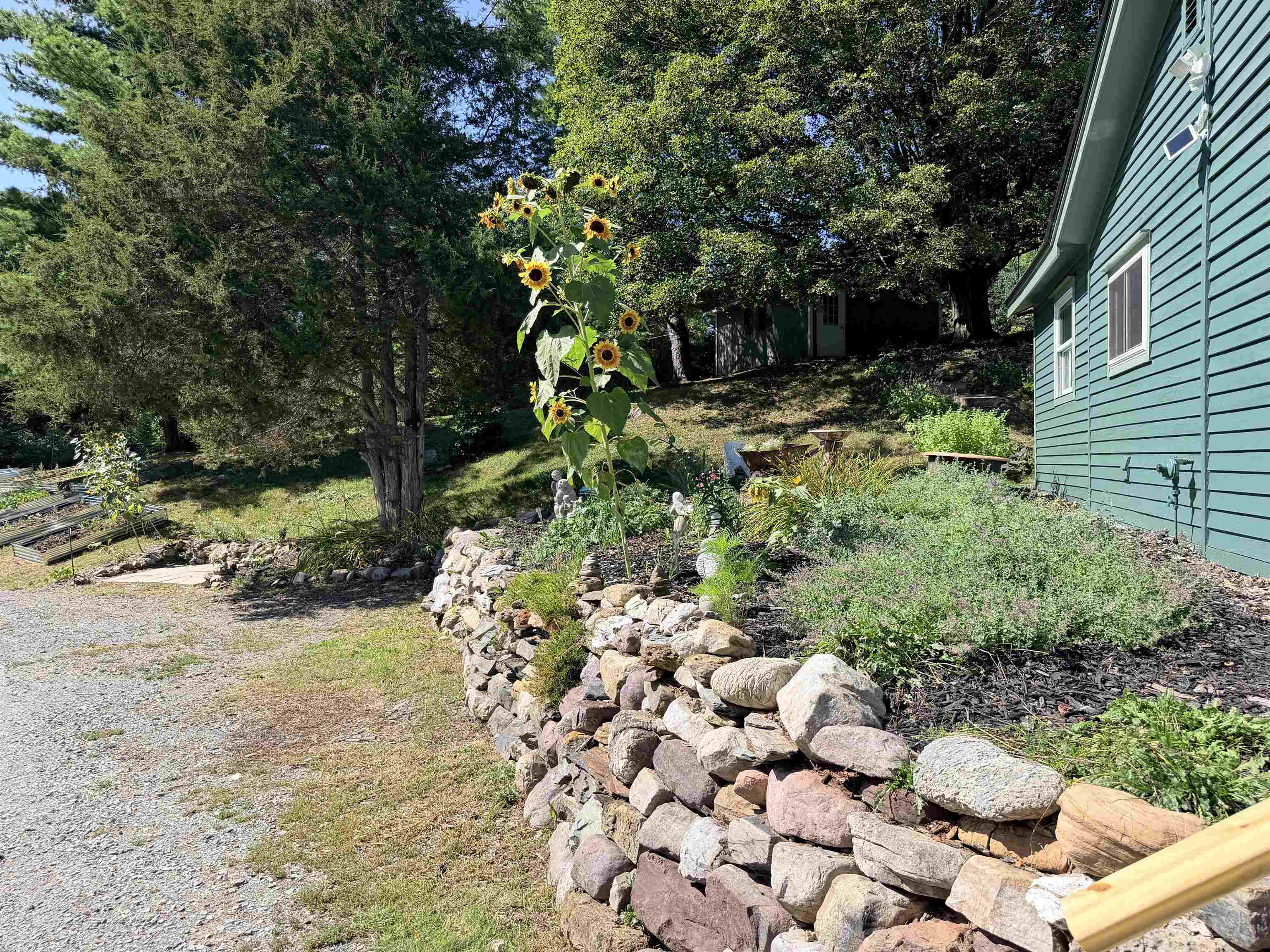 44 Knox Hill Road photo 20
