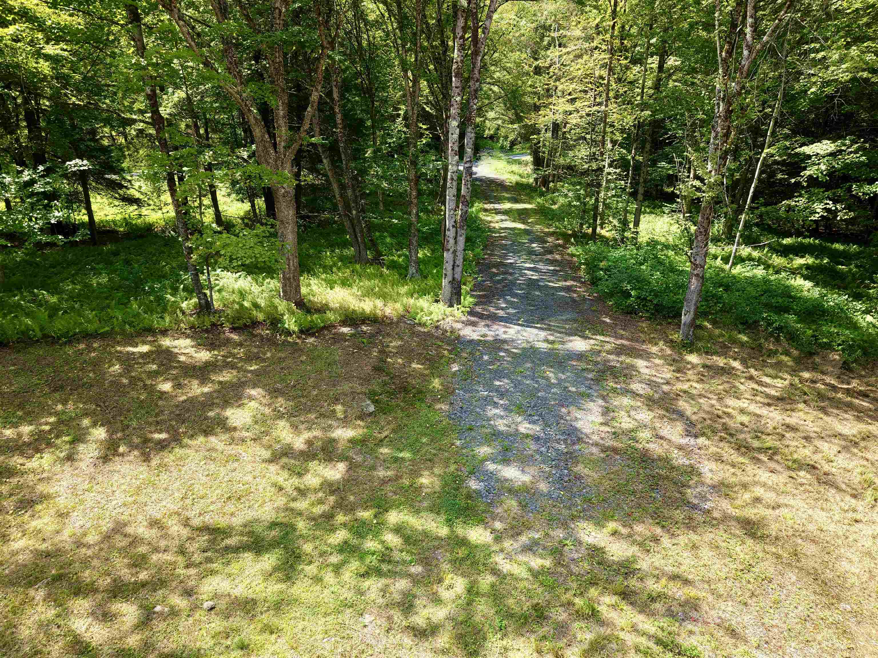 709 Bertha Springs Road photo 23