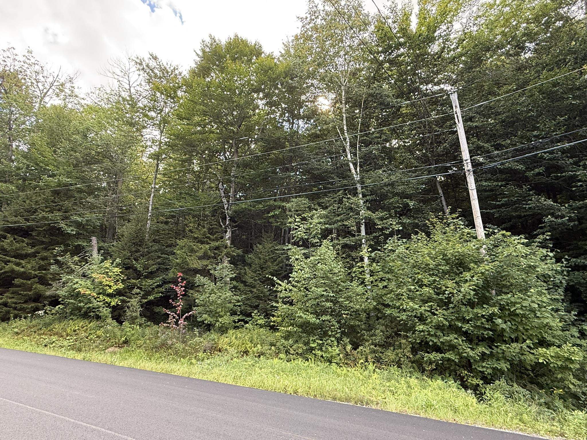 45 Buckboard Drive photo 3
