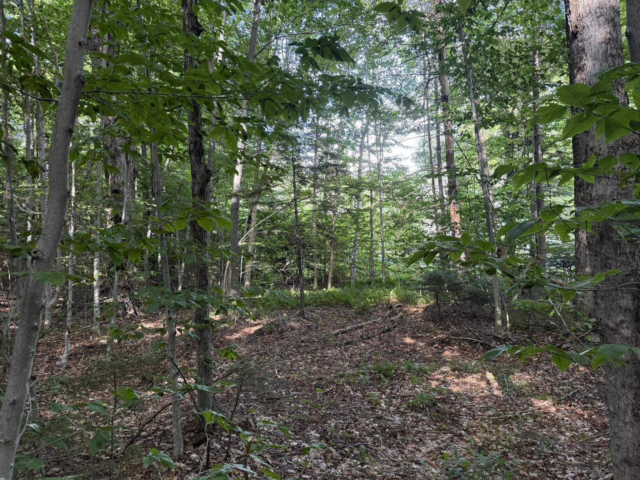 45 Buckboard Drive photo 5