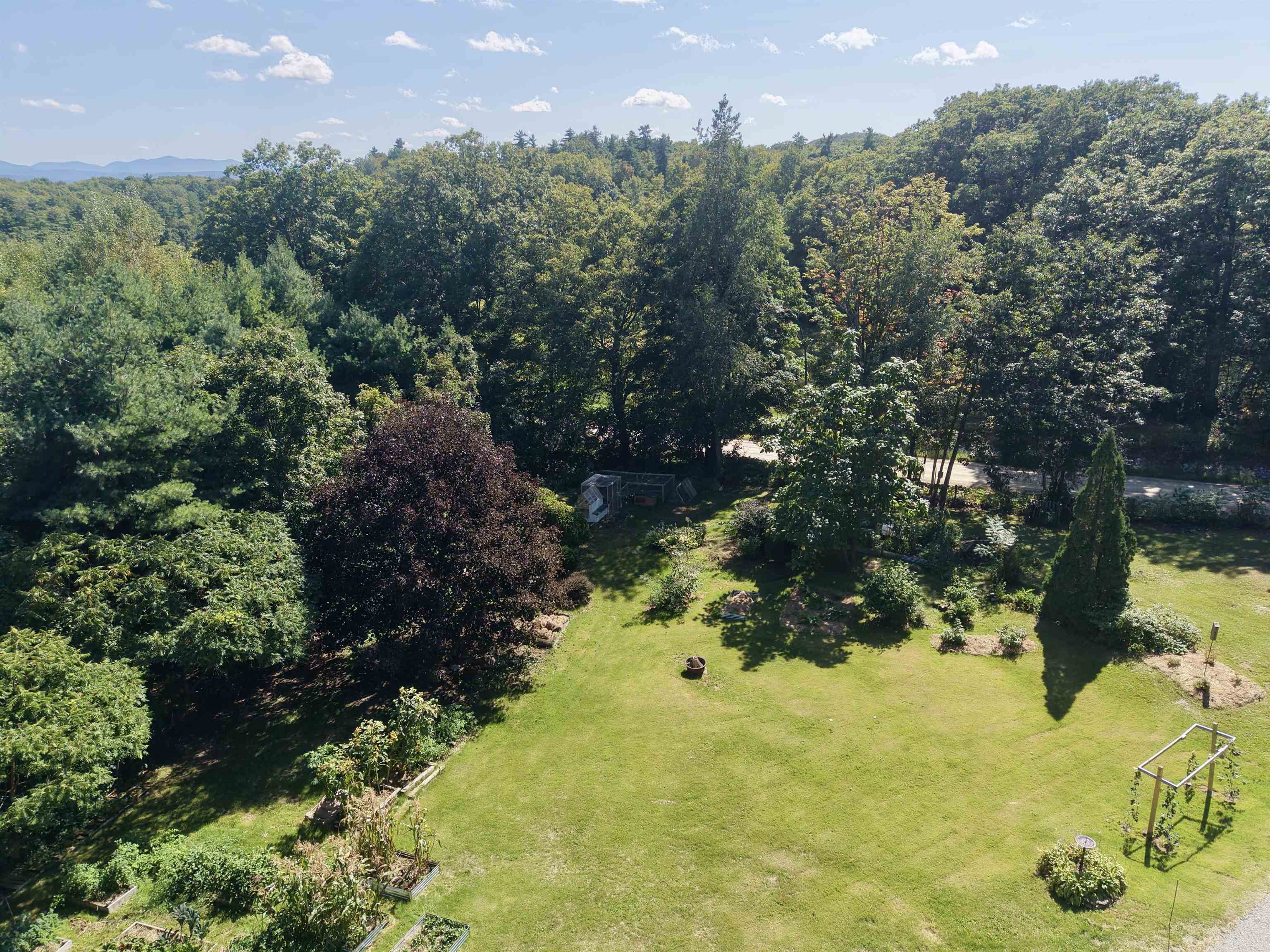 44 Knox Hill Road photo 5