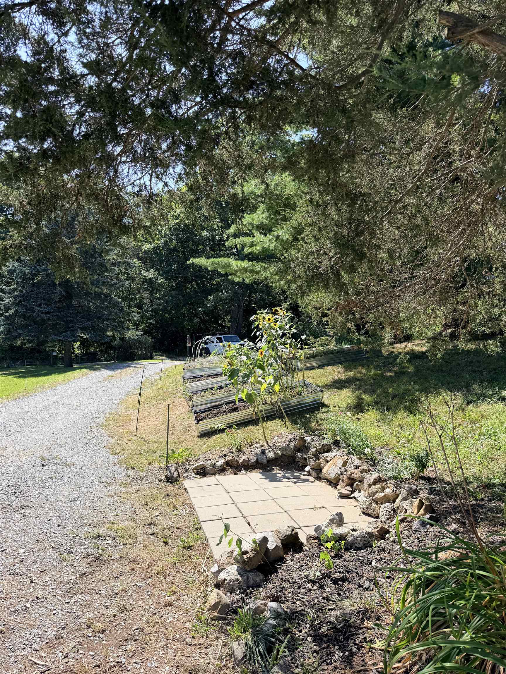 44 Knox Hill Road photo 58