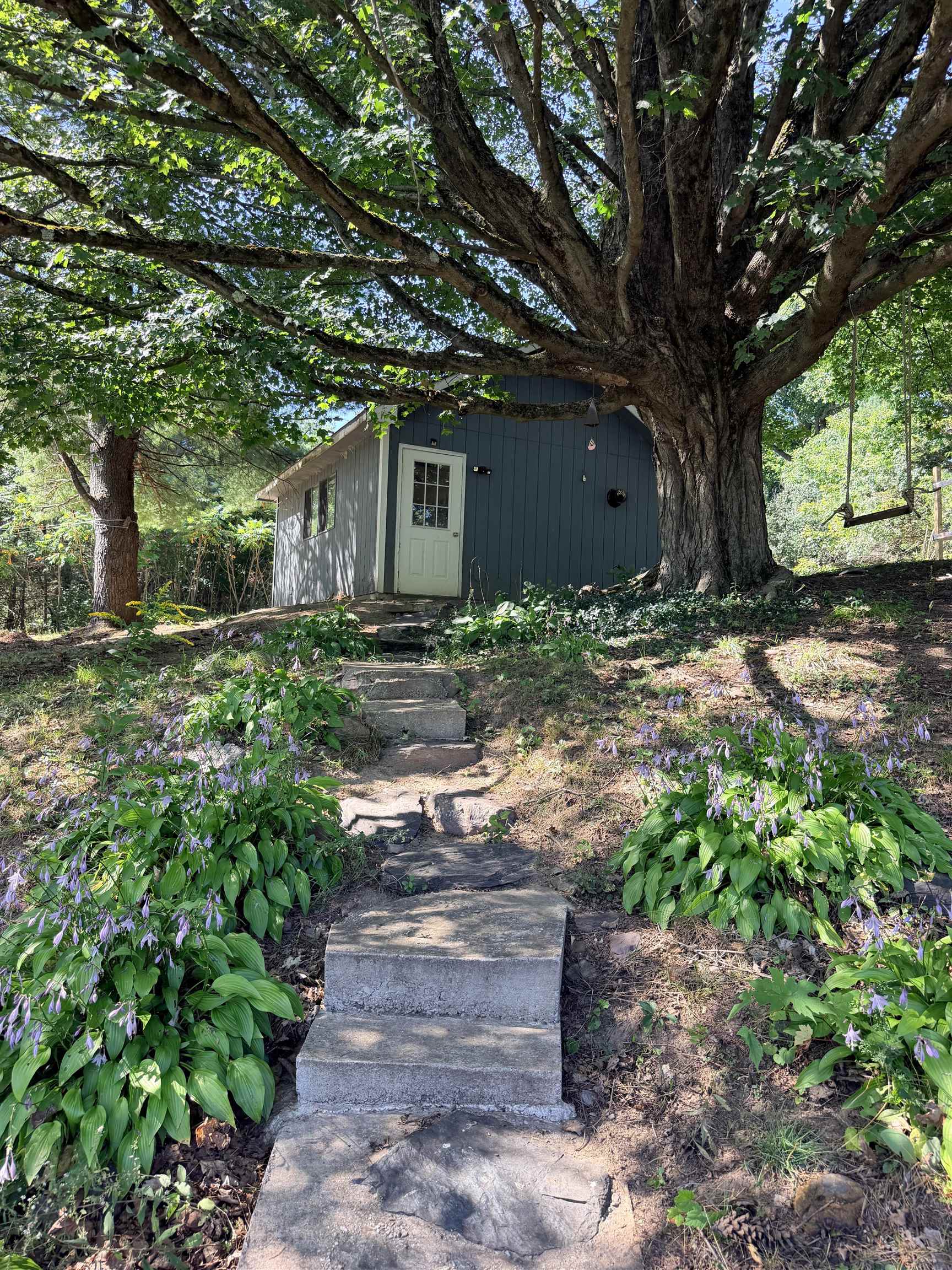 44 Knox Hill Road photo 59