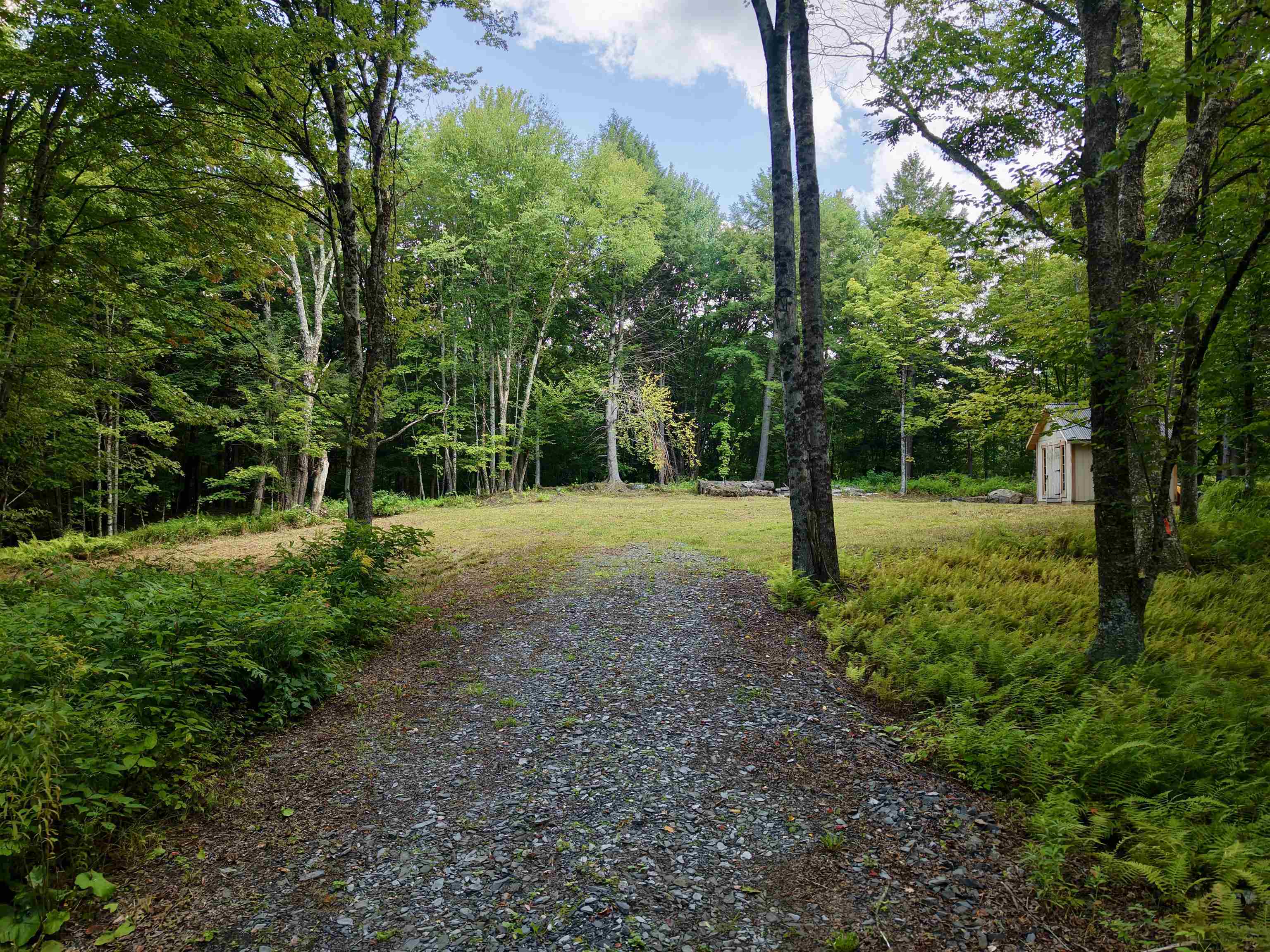 709 Bertha Springs Road photo 6