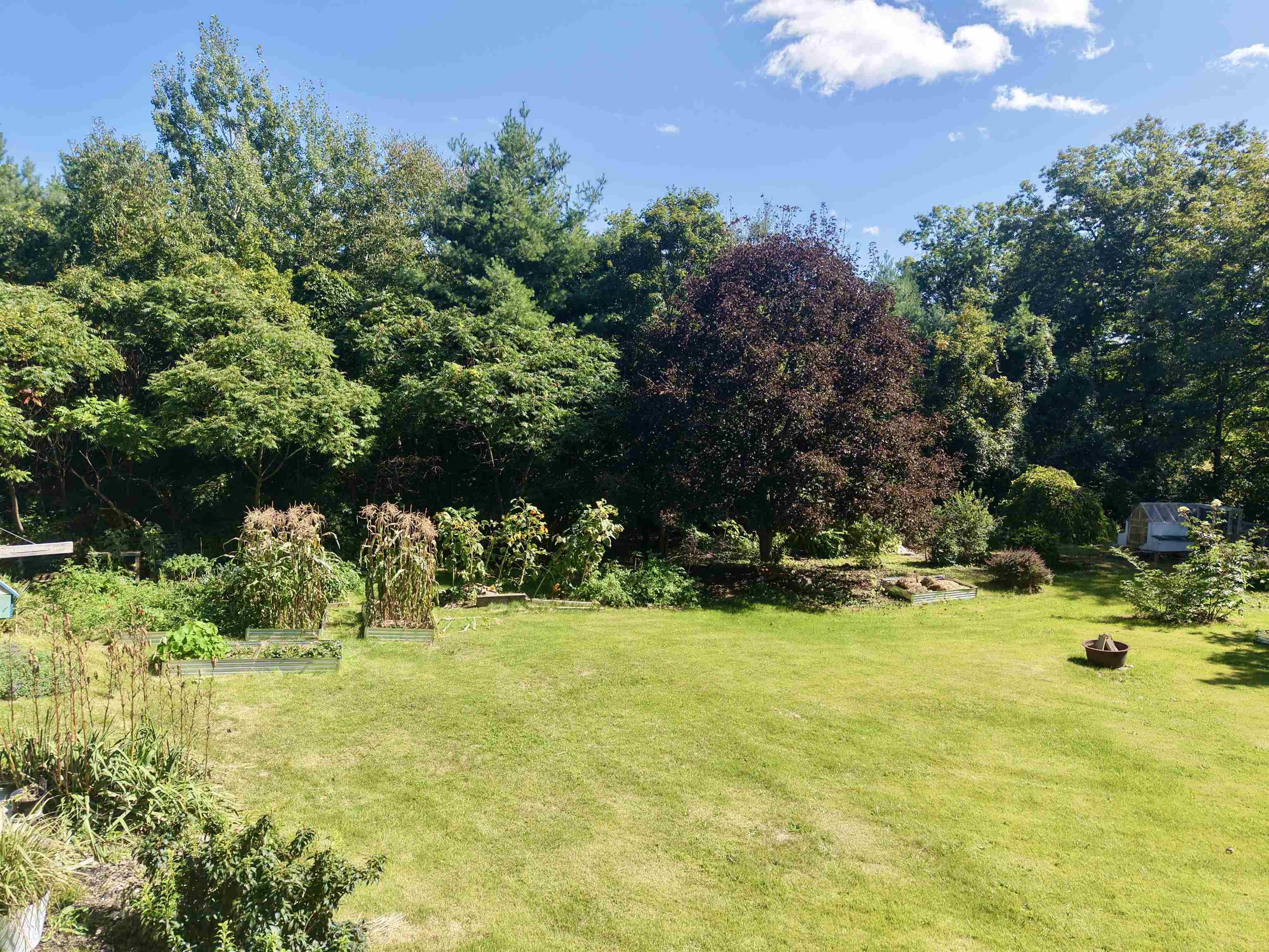 44 Knox Hill Road photo 6