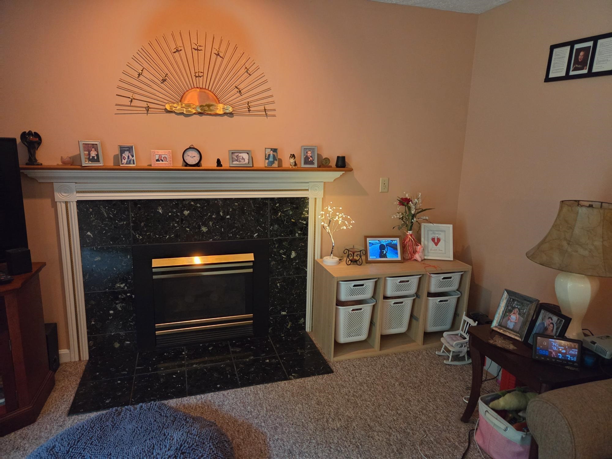 61 Giffin Court photo 11