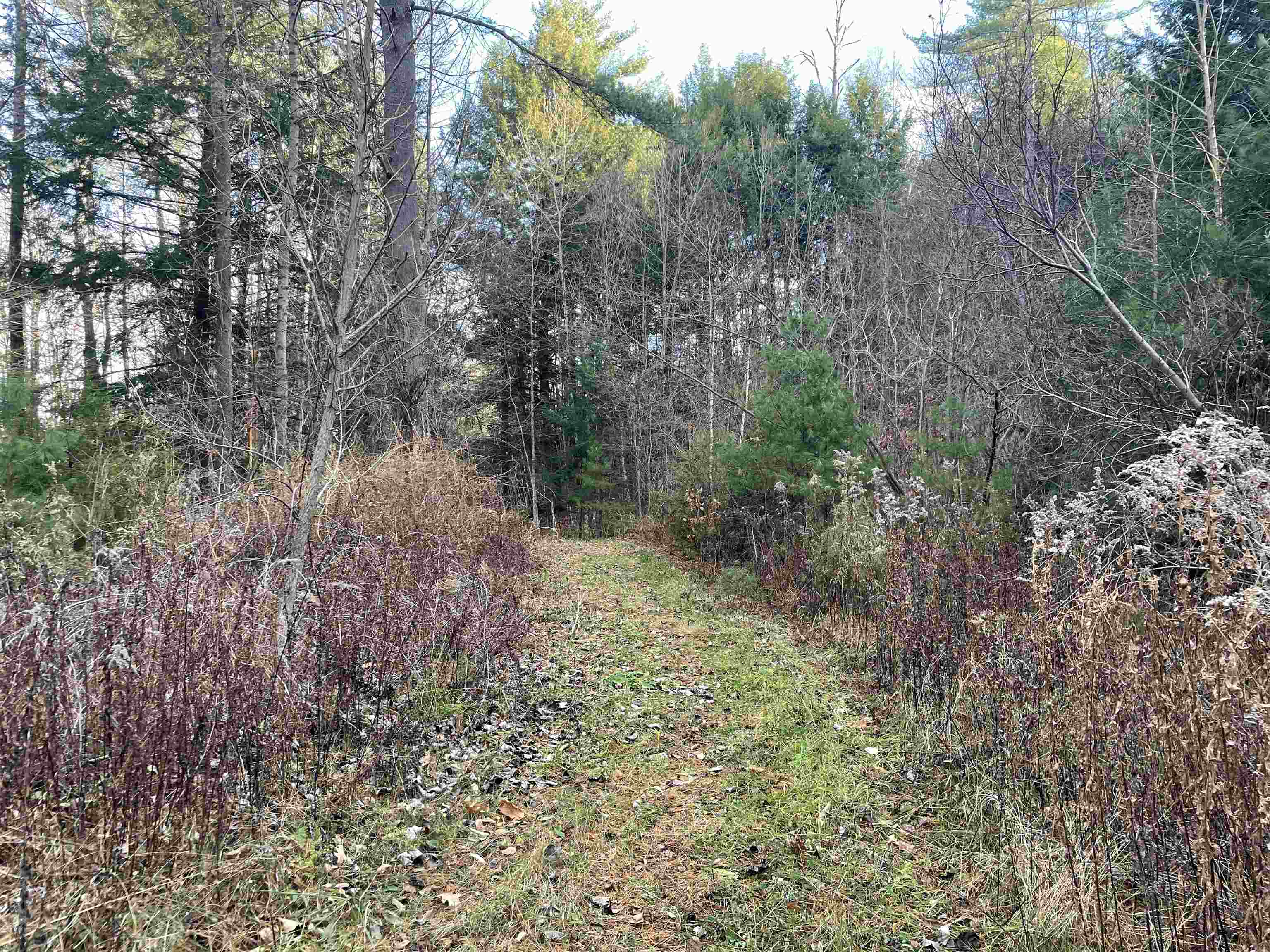 near 00 Cavendish Gulf Road Cavendish, VT 05142 Property 1