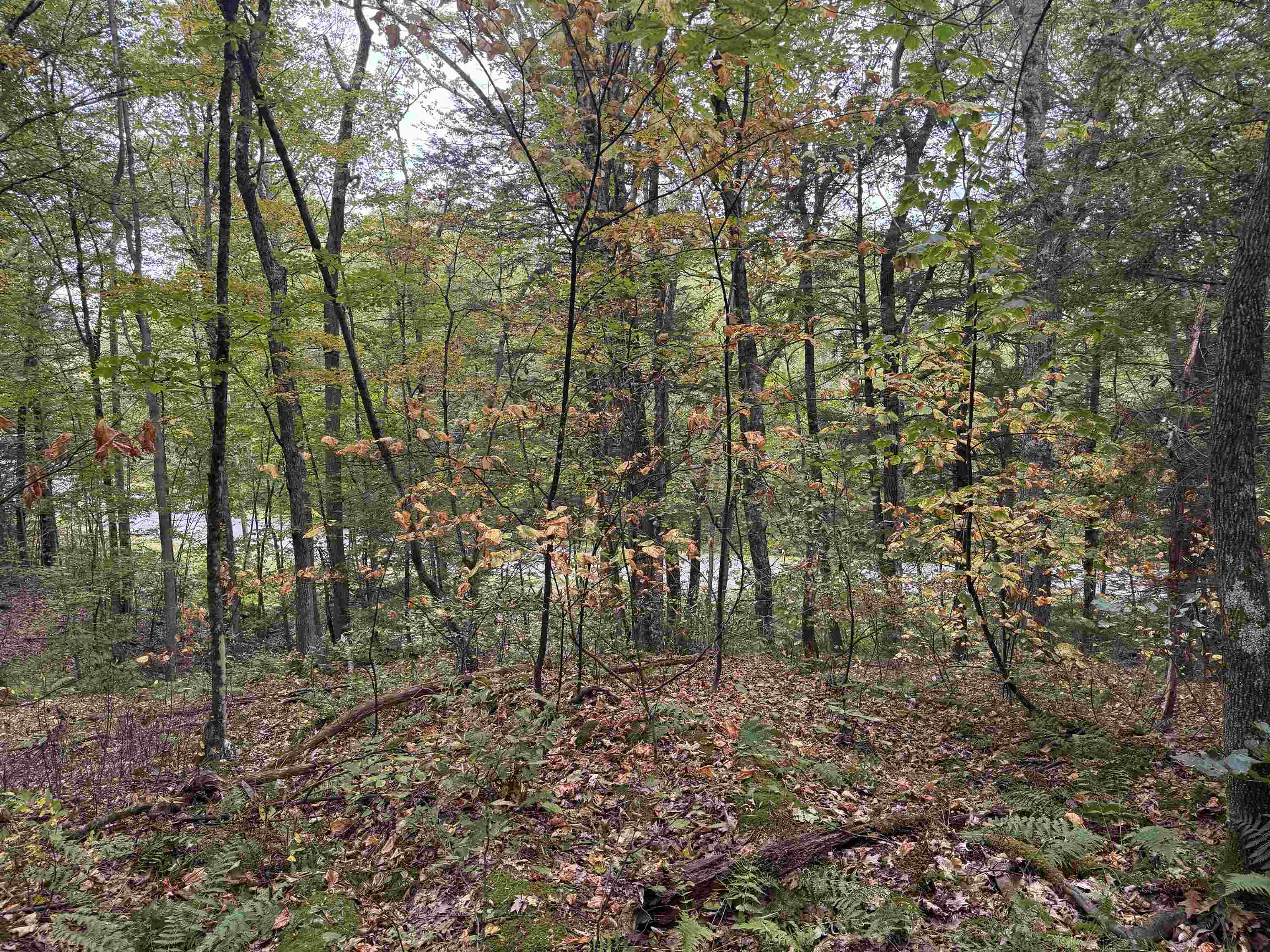 near 123 Rte 5 Westminster, VT 05158 Property 4