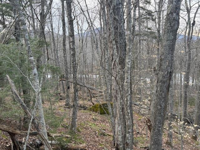 near Lot 8 Barts Hill Road Killington, VT 05751 Property 2