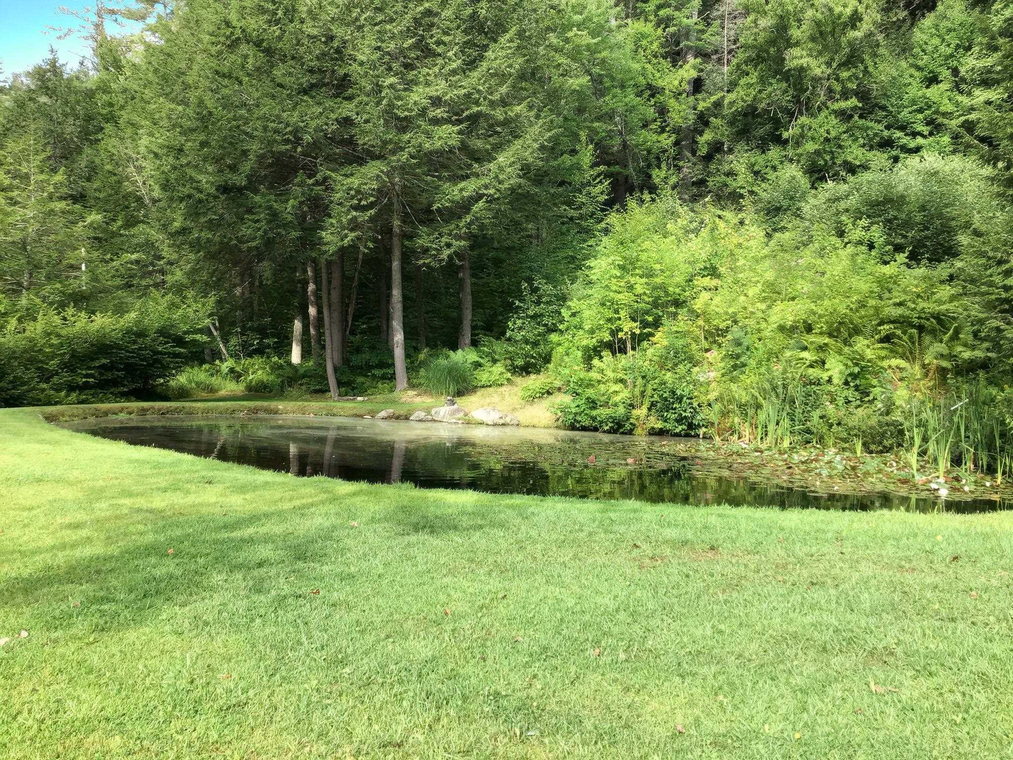 58 Hi Hopes Road photo 32