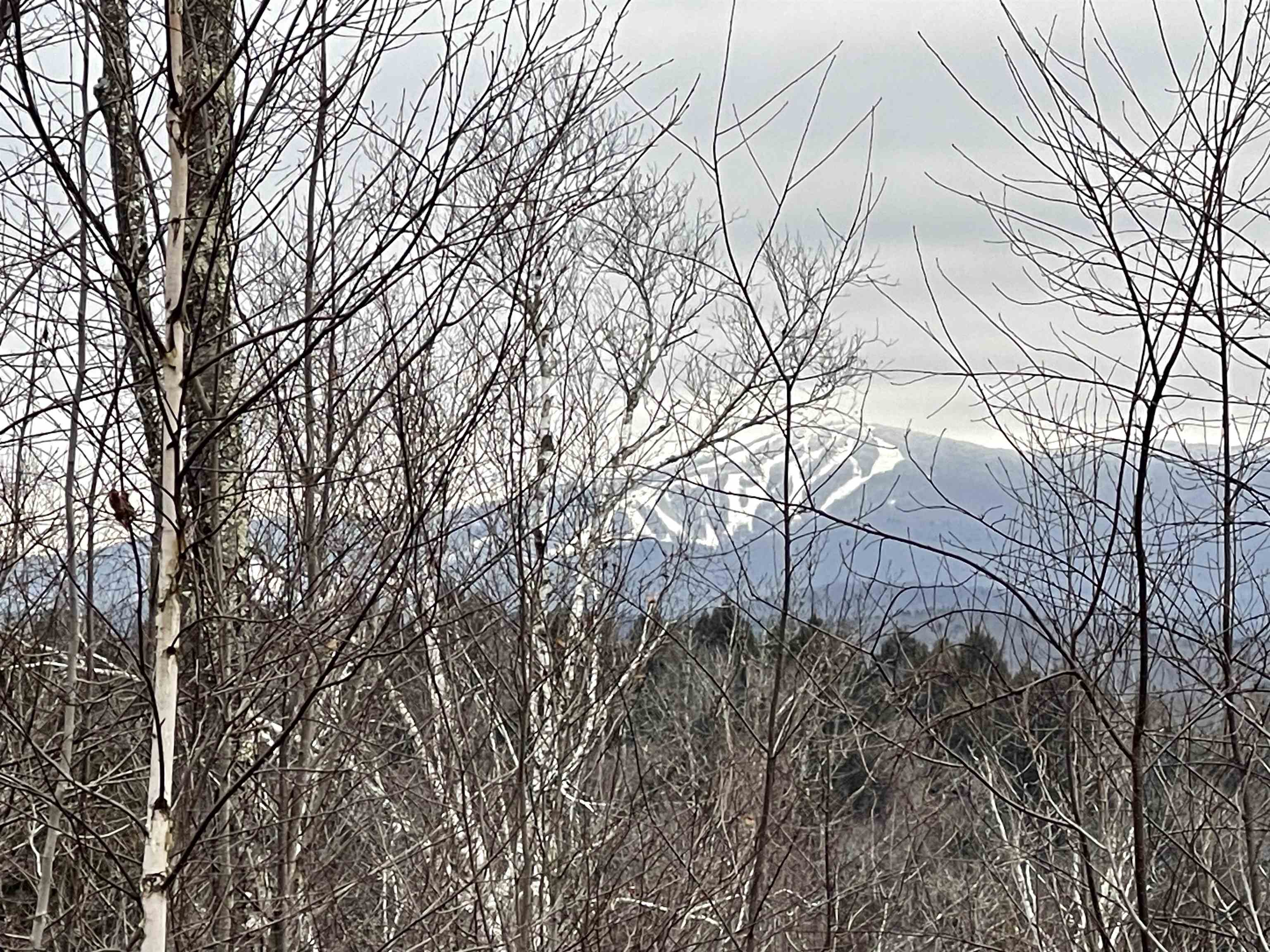 near West Hill Road Jamaica, VT 05343 Property 3