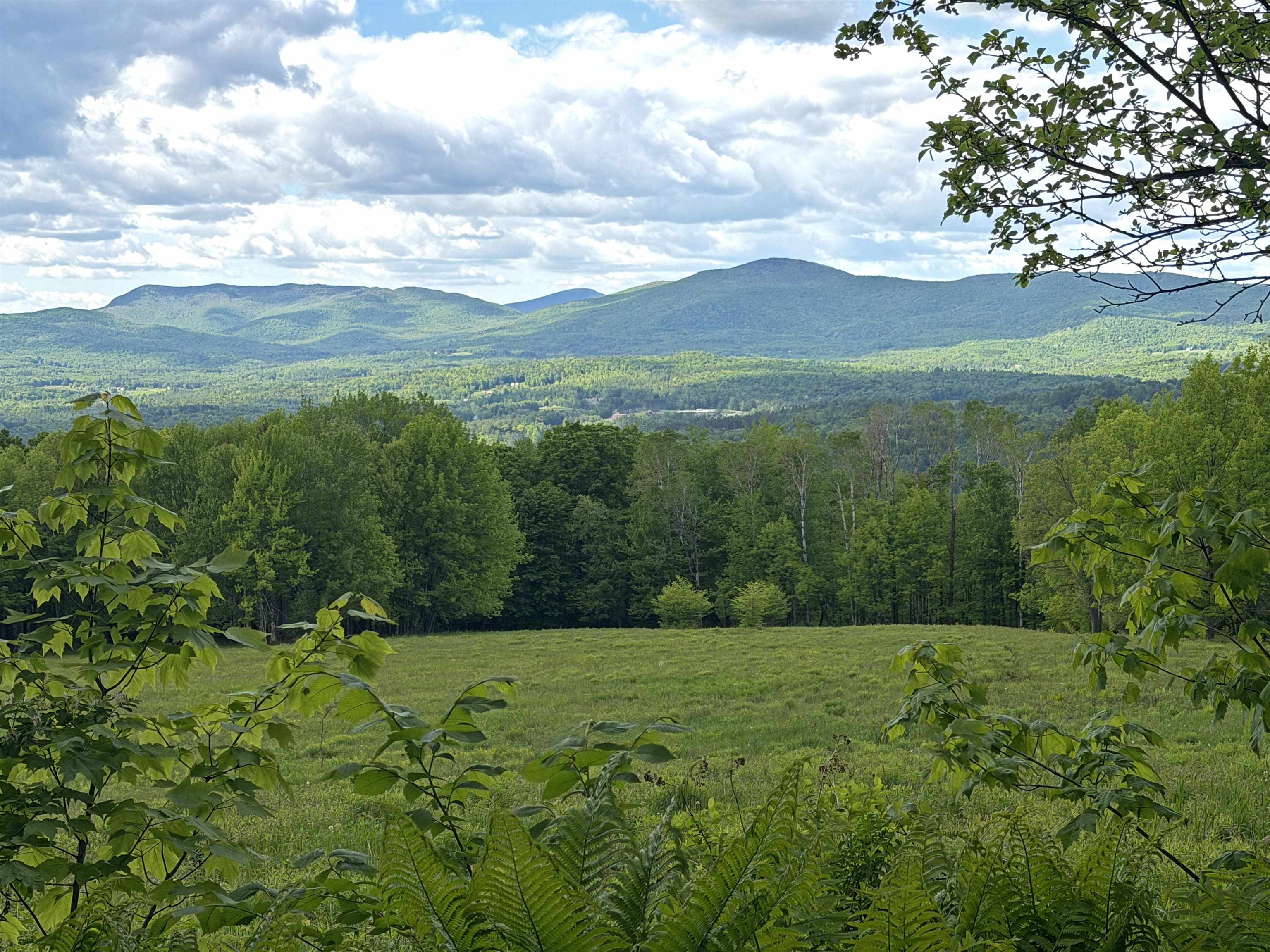  in Johnson VT