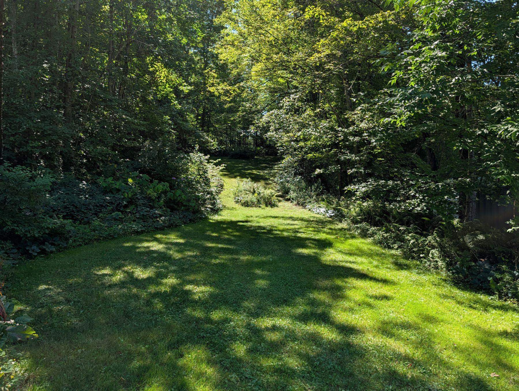 178 Bethel Mountain Road photo 8