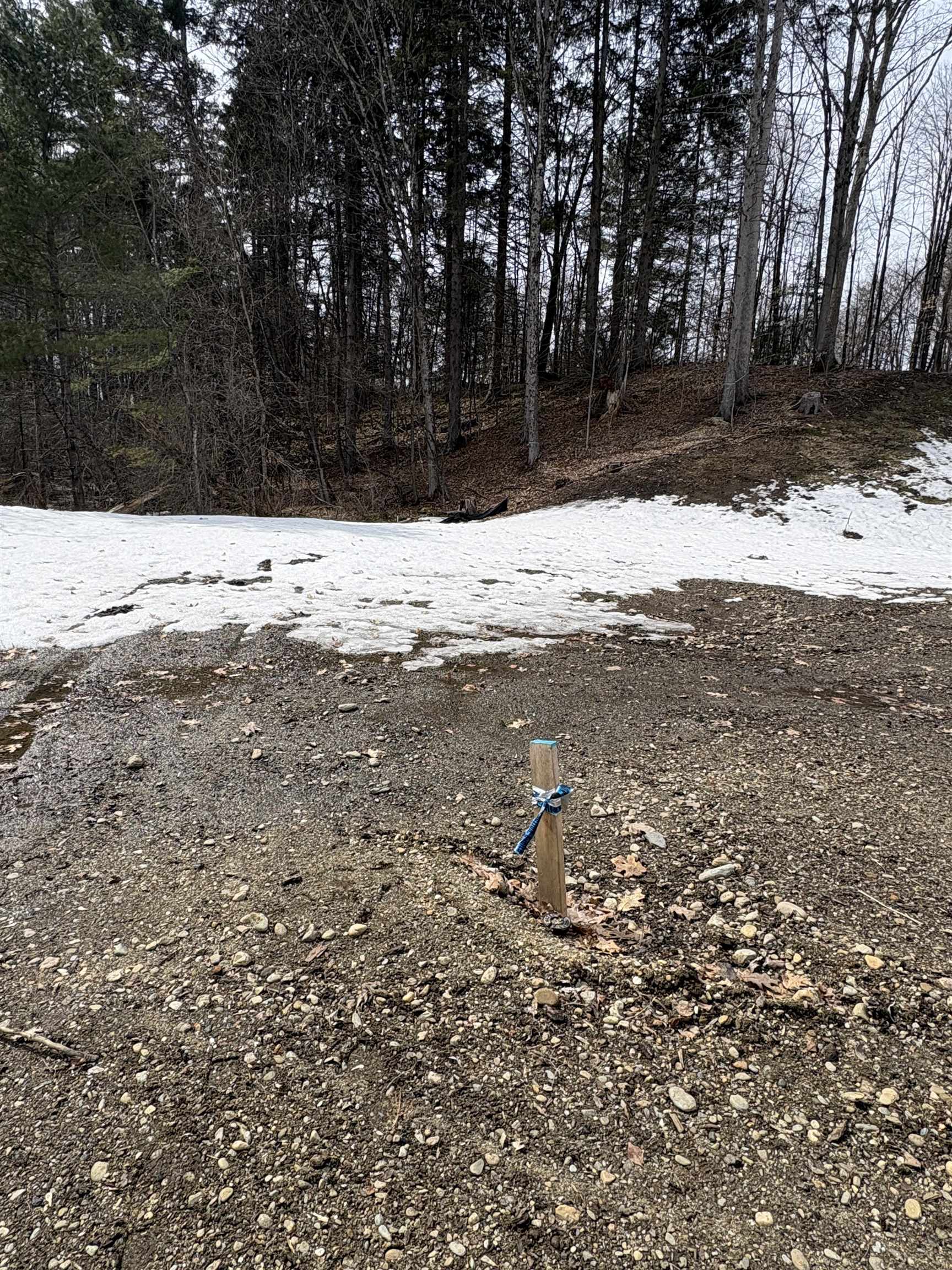 near 0 Route 66 Randolph, VT 05060 Property 2