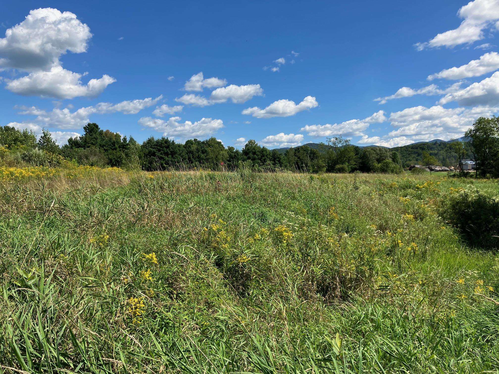 near 311, Lot 7 Main Street Richford, VT 05476 Property 3