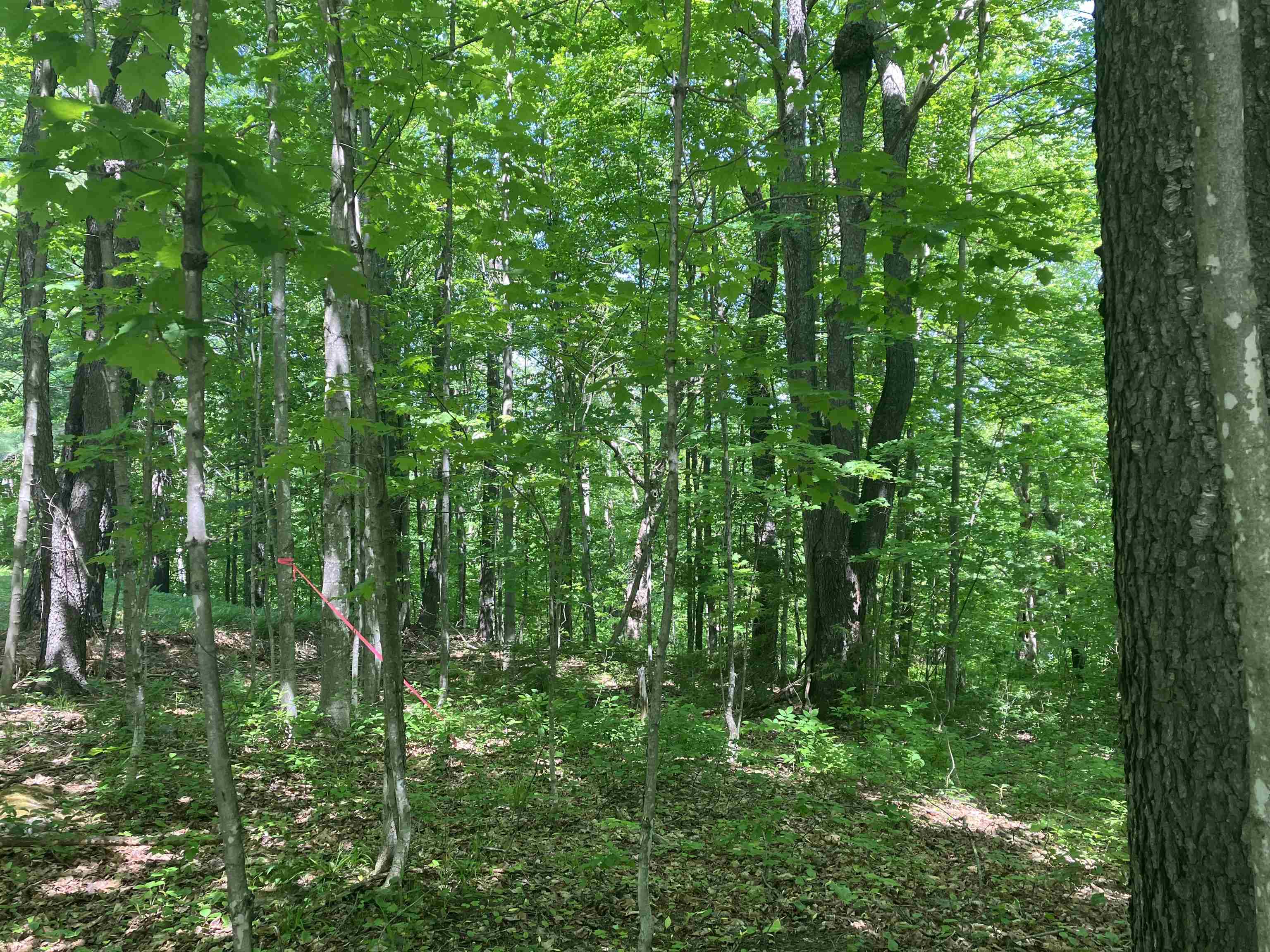 near 95 Chimney Hill Road Wilmington, VT 05363-0415 Property 4