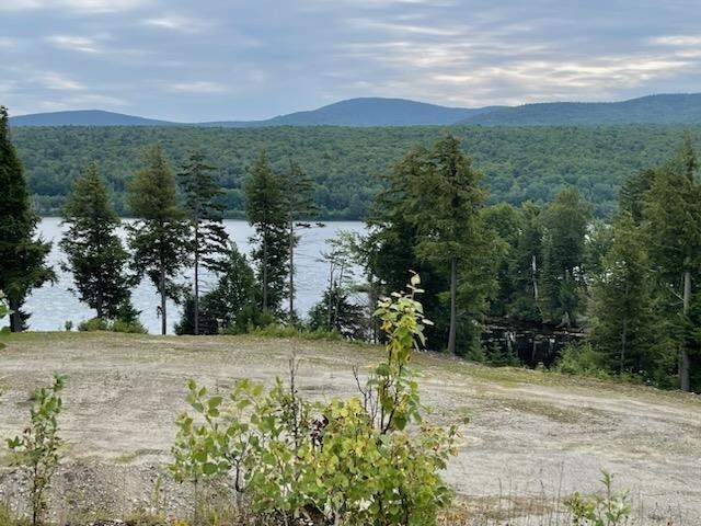 near 132 Lahue Road Holland, VT 05830 Property 1