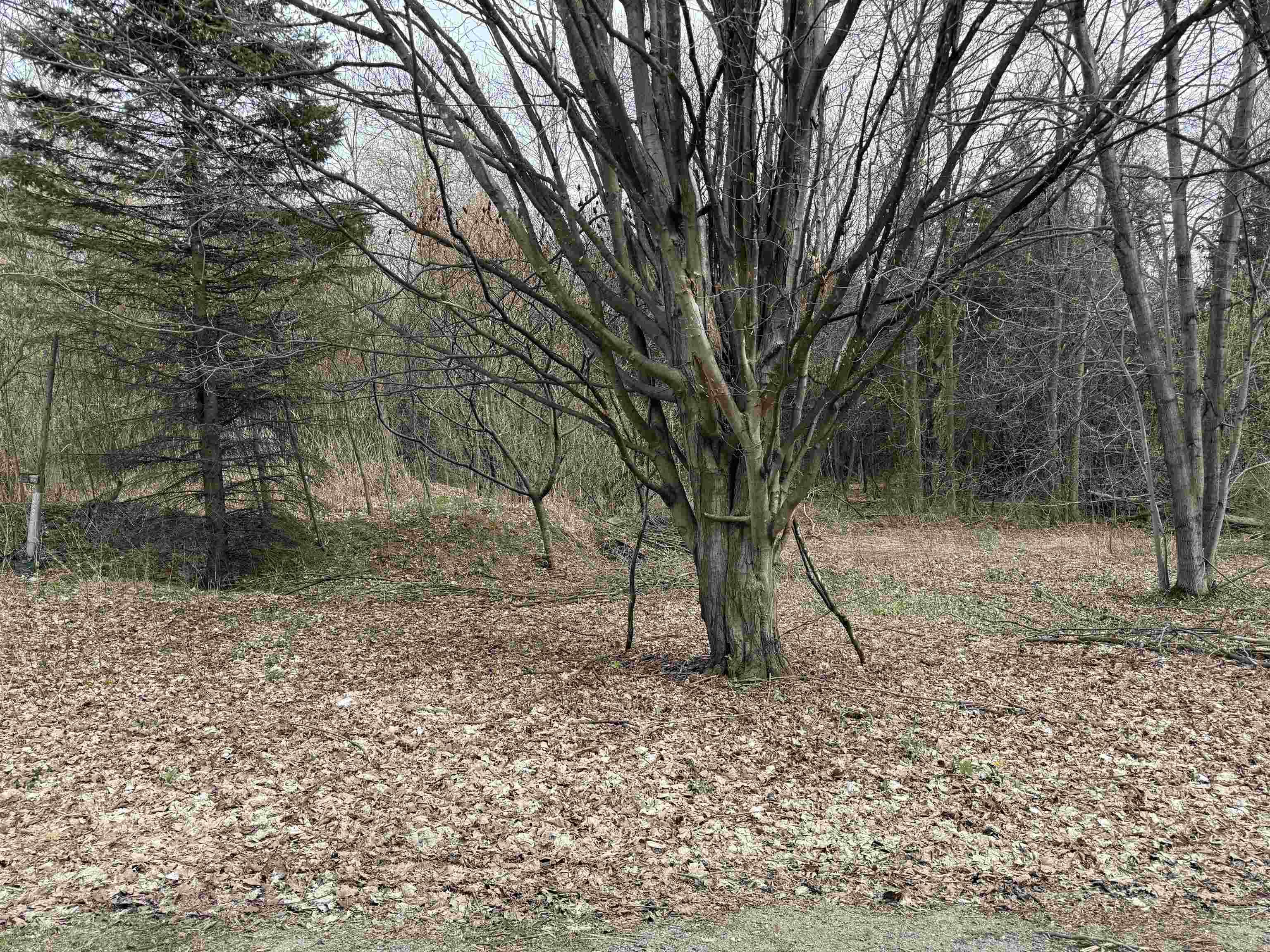 near 32 Phoebe Lane South Hero, VT 05486 Property 1 near 32 Phoebe Lane South Hero, VT 05486 Property 1