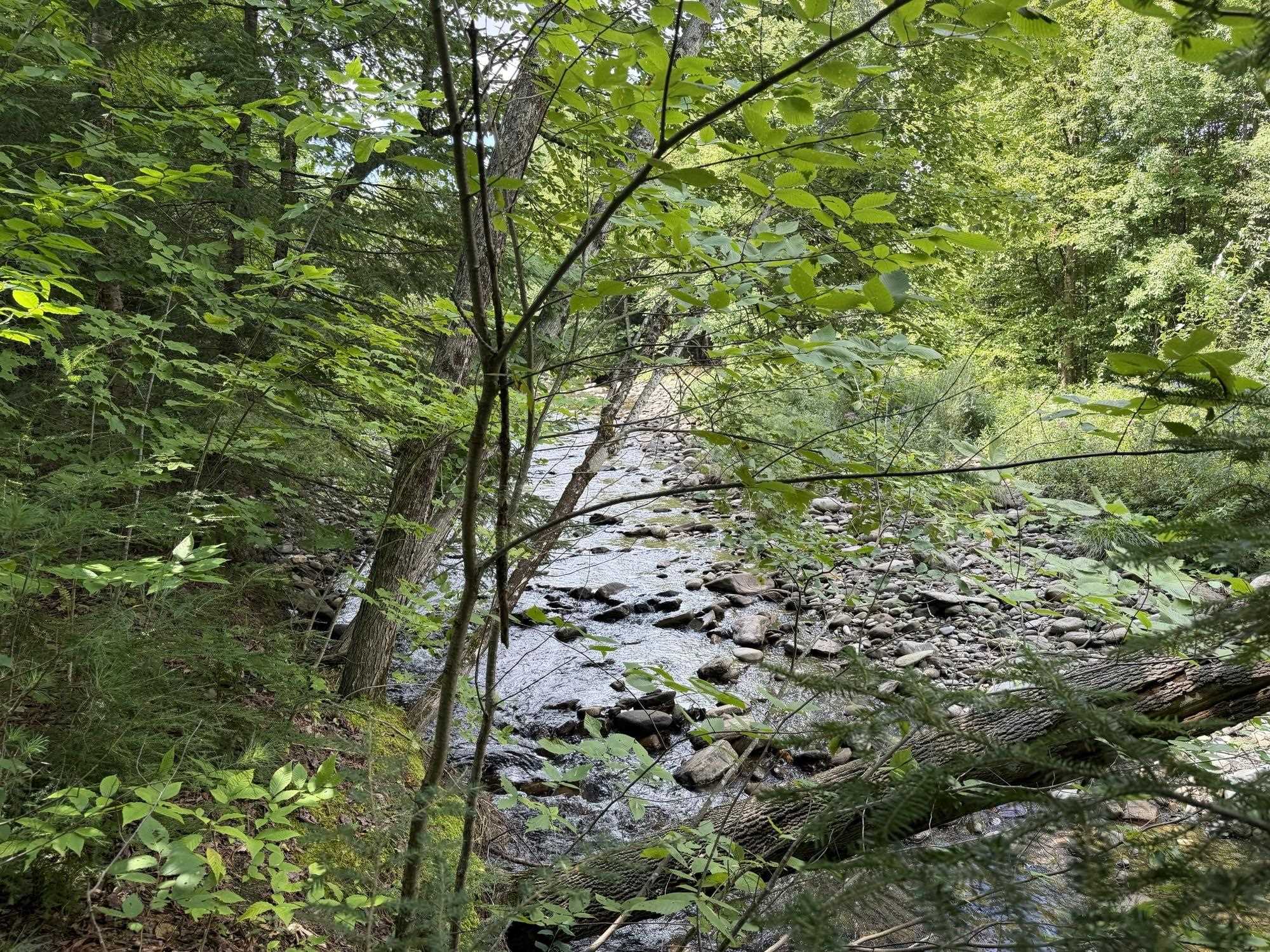 0 Route 242 Road photo 15