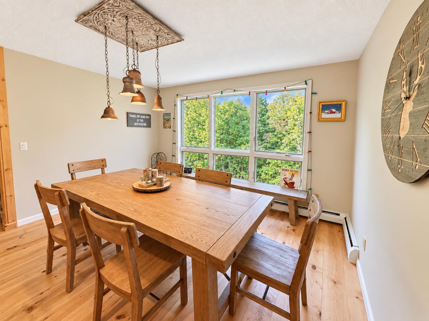 17A Silver Birch photo 15