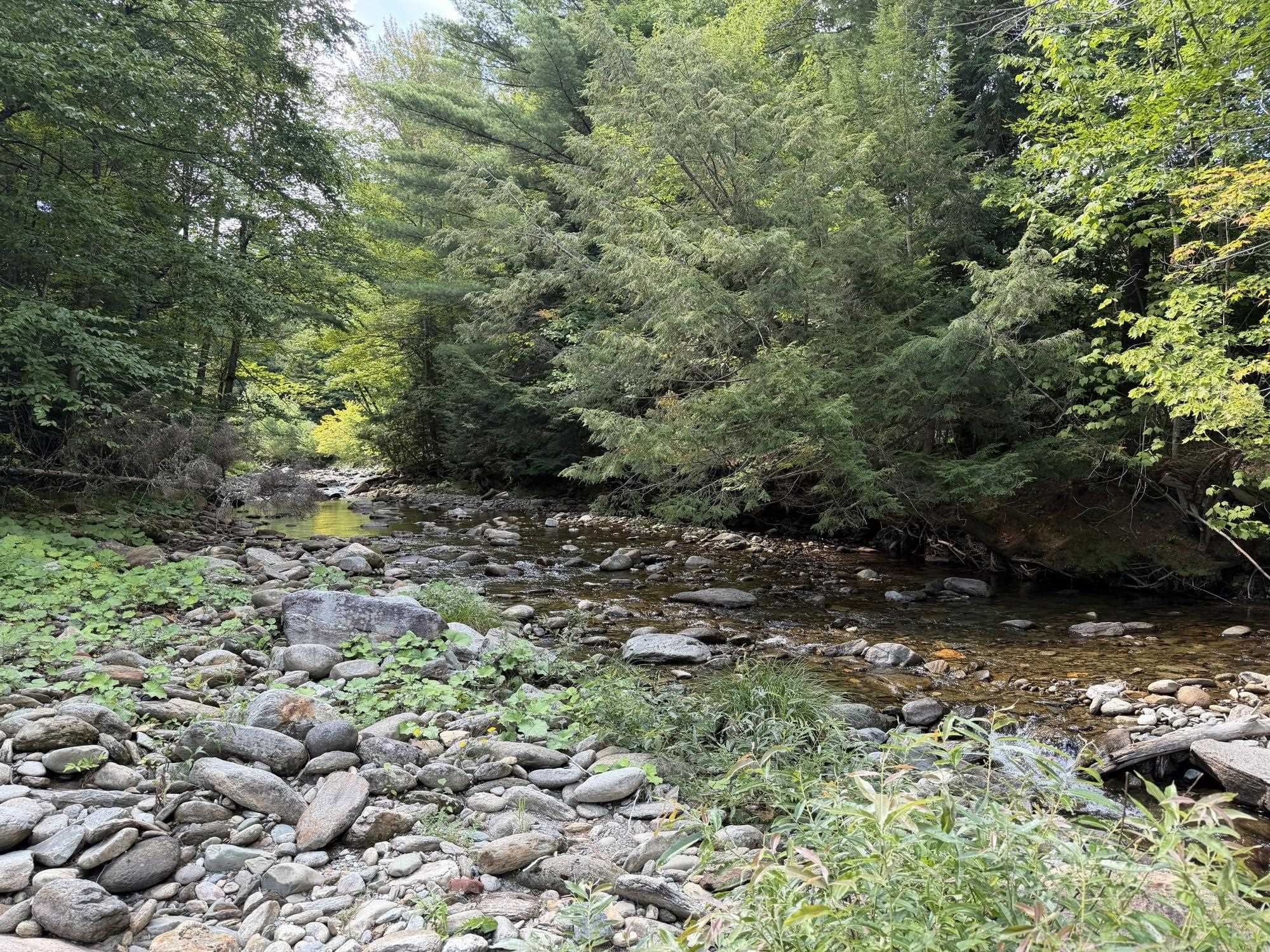 0 Route 242 Road photo 16