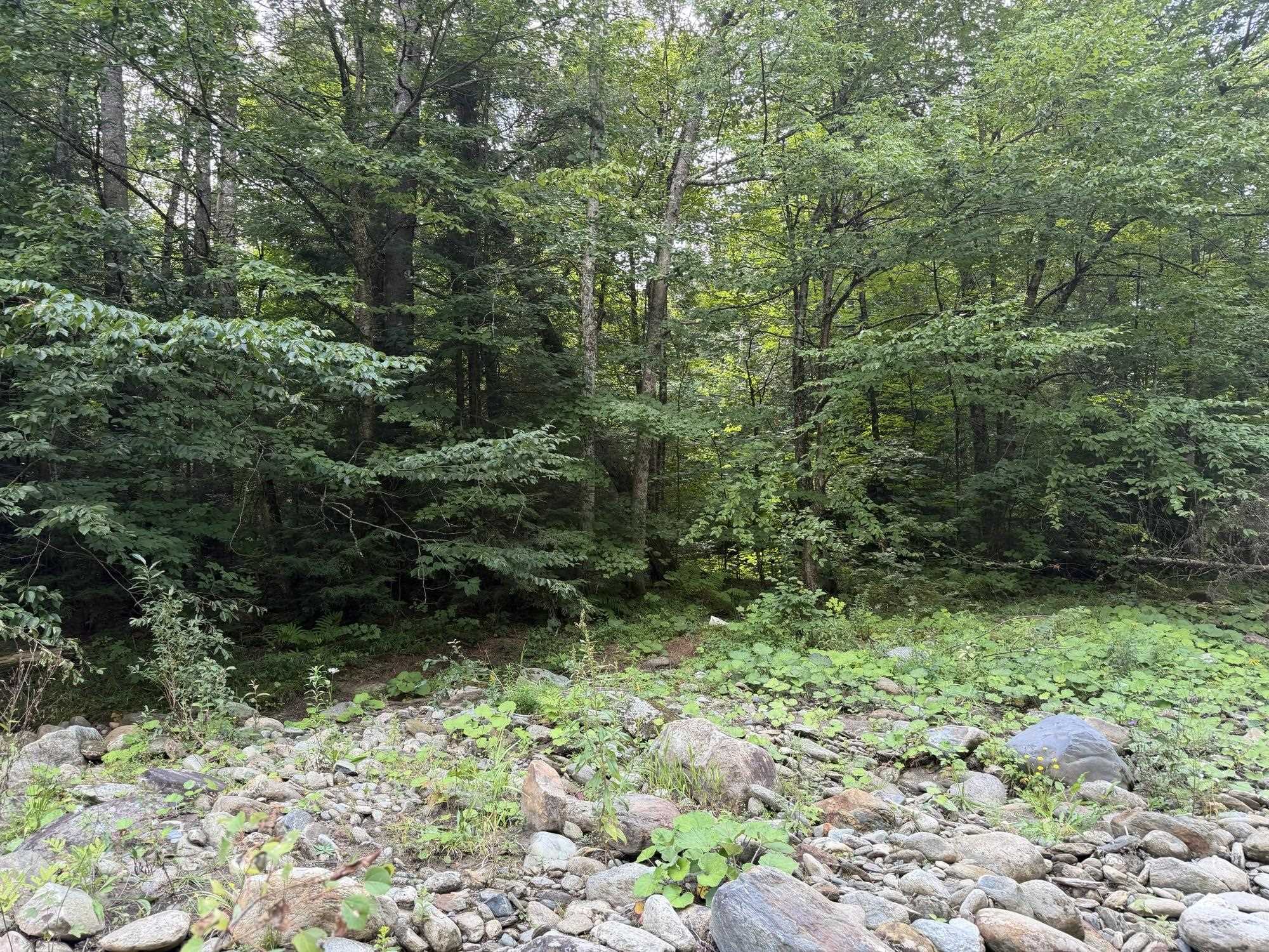 0 Route 242 Road photo 17
