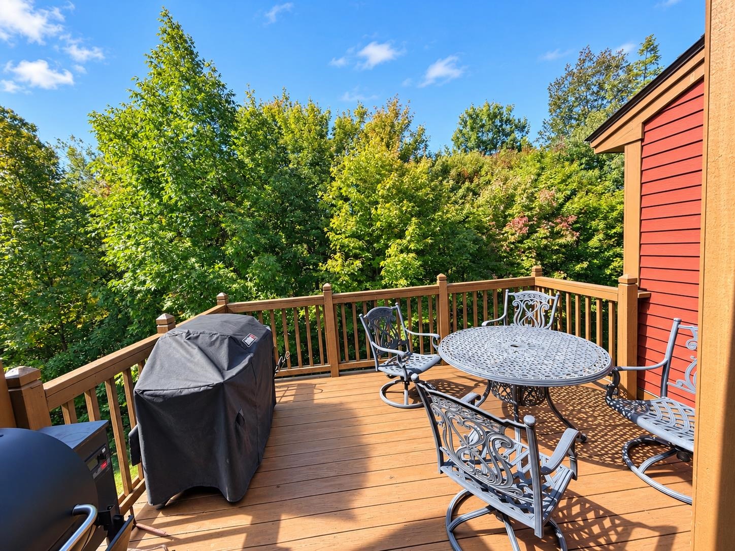 17A Silver Birch photo 29
