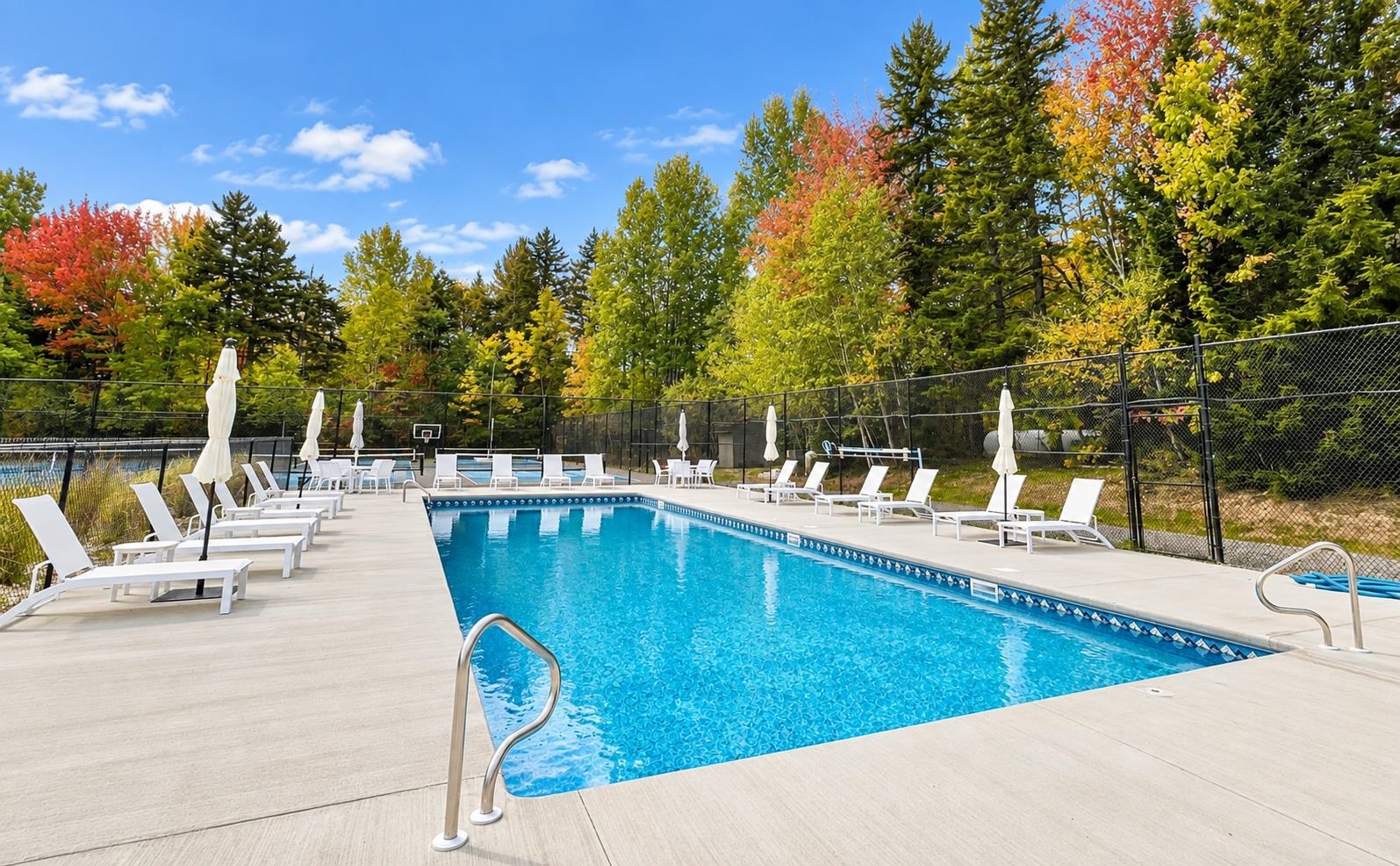17A Silver Birch photo 31