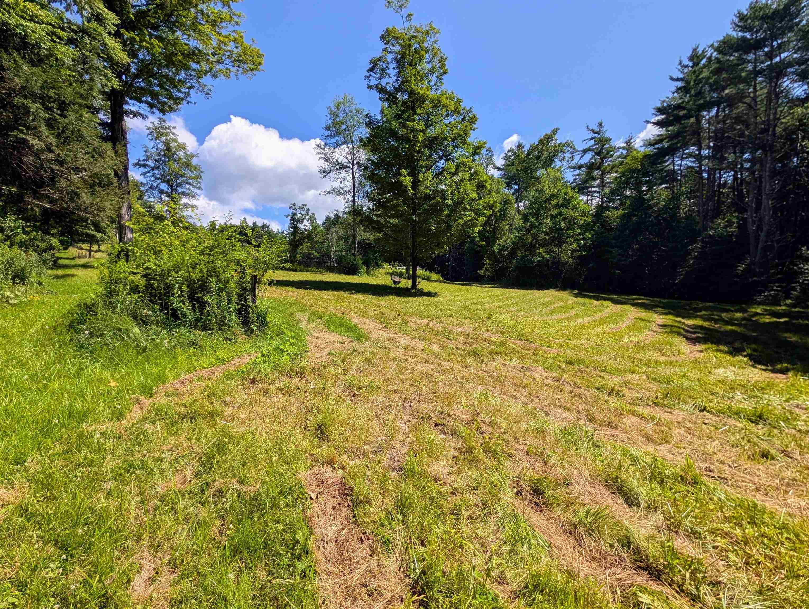 51 Dusty Ridge Road photo 55