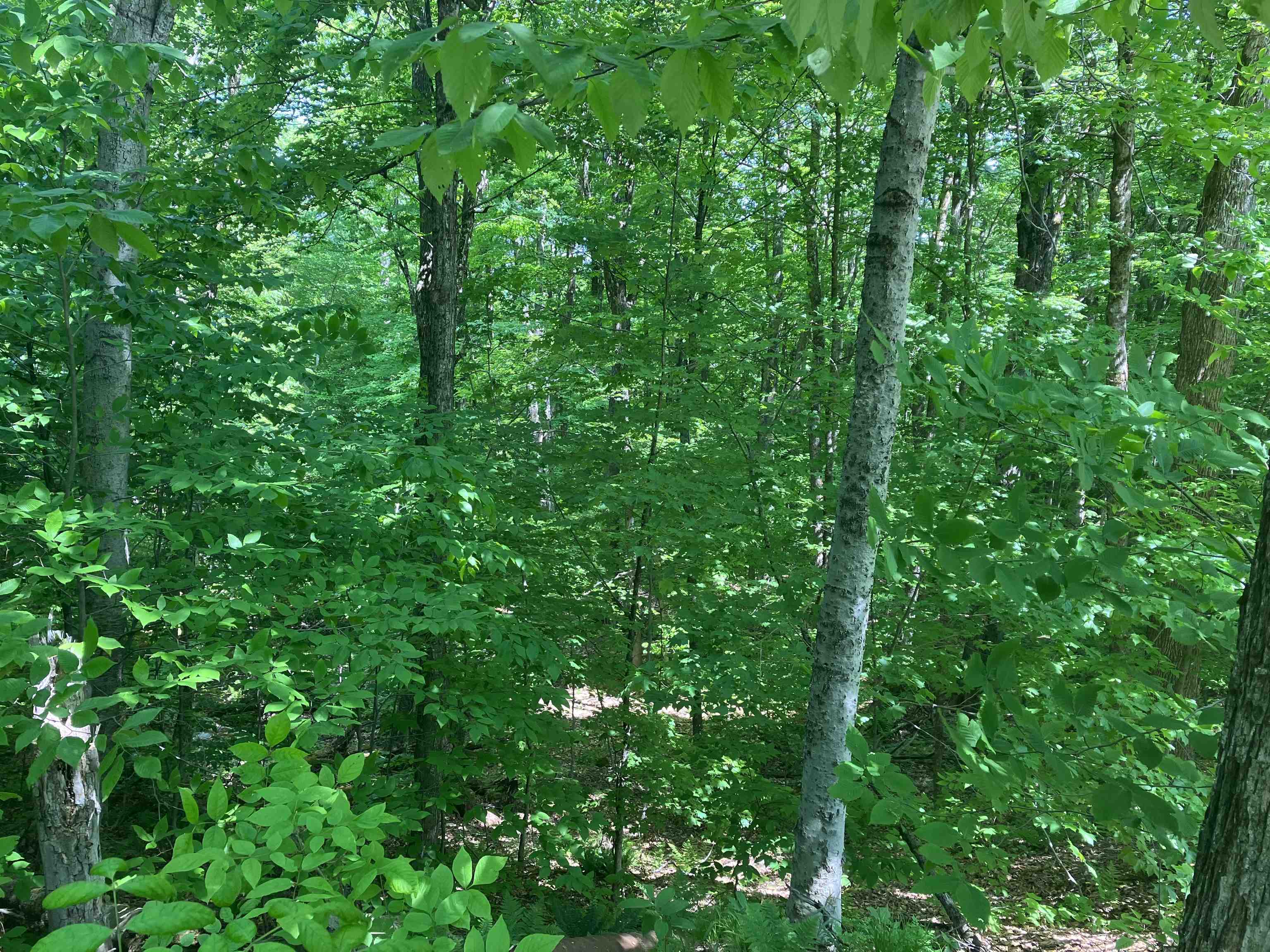 near Two Wall Way Wilmington, VT 05363-0253 Property 3