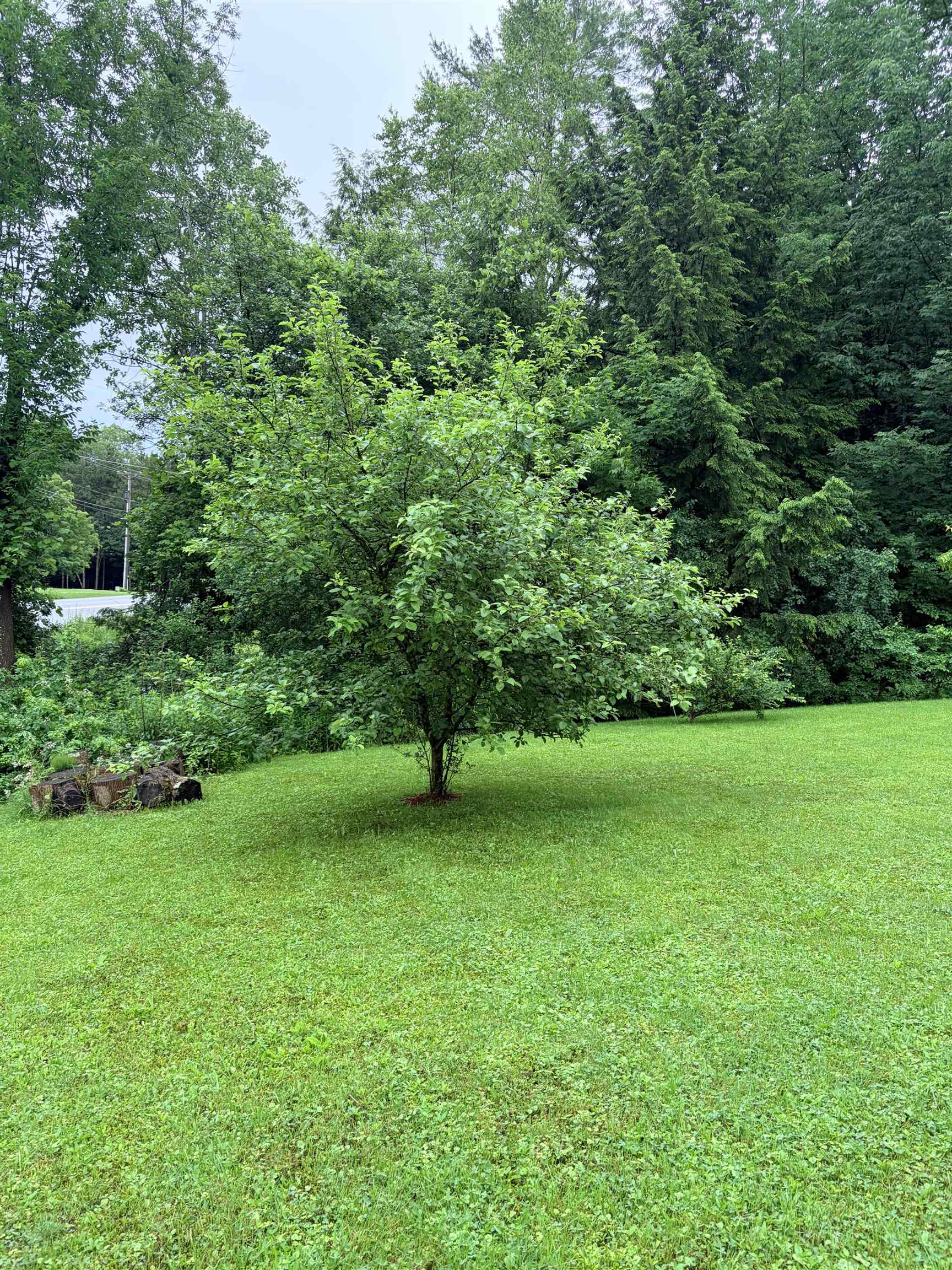 1190 Huntington Road photo 27
