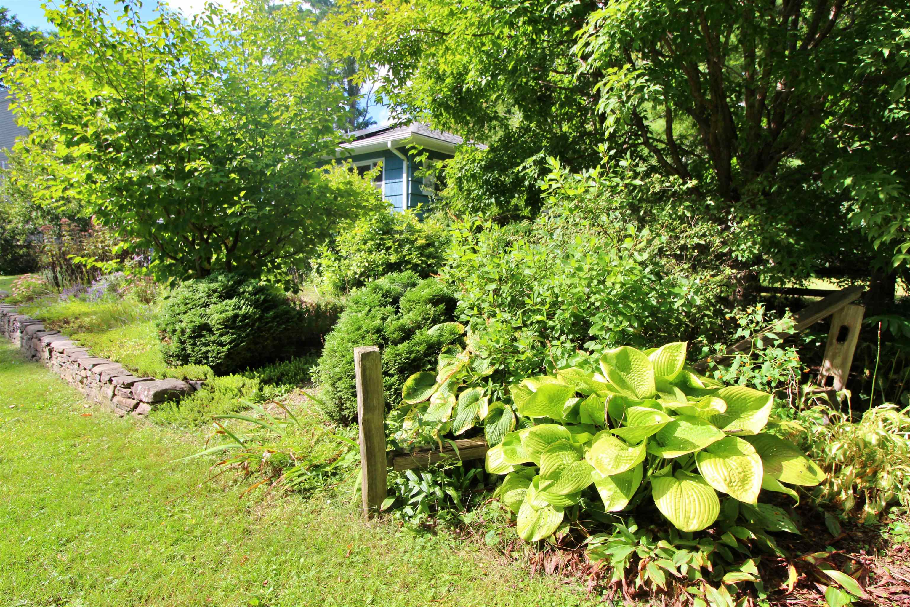 703 Dorset Street photo 28