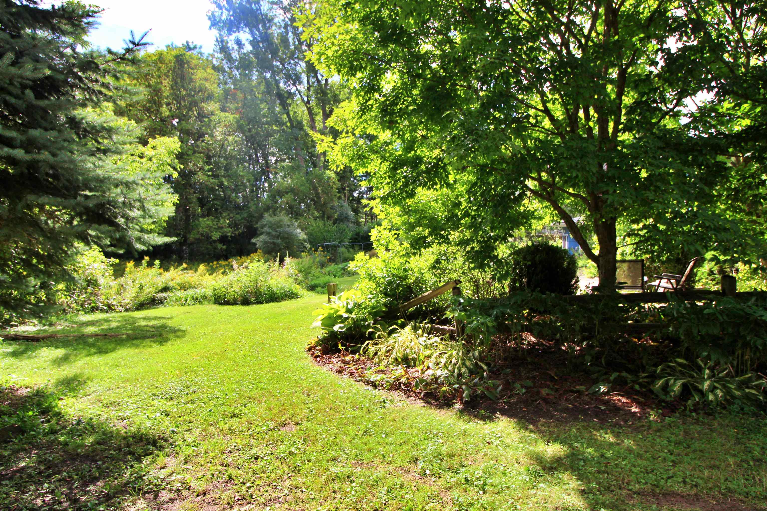 703 Dorset Street photo 30