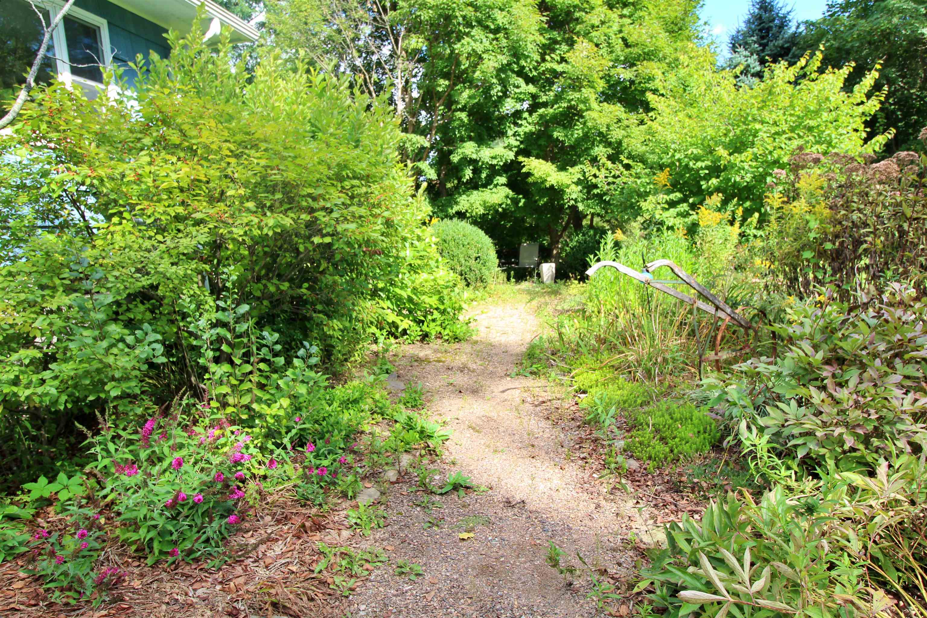 703 Dorset Street photo 32