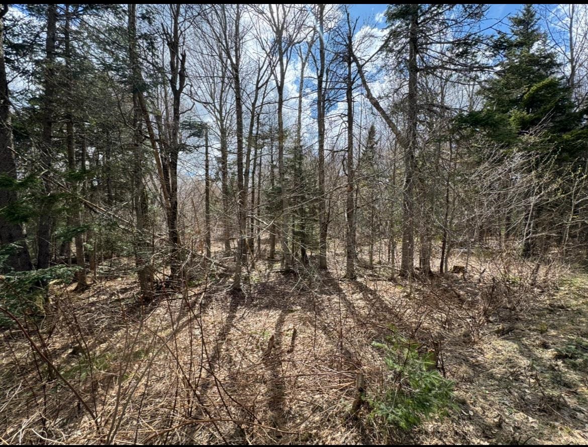 near Lot 2 North Street Dover, VT 05431 Property 3