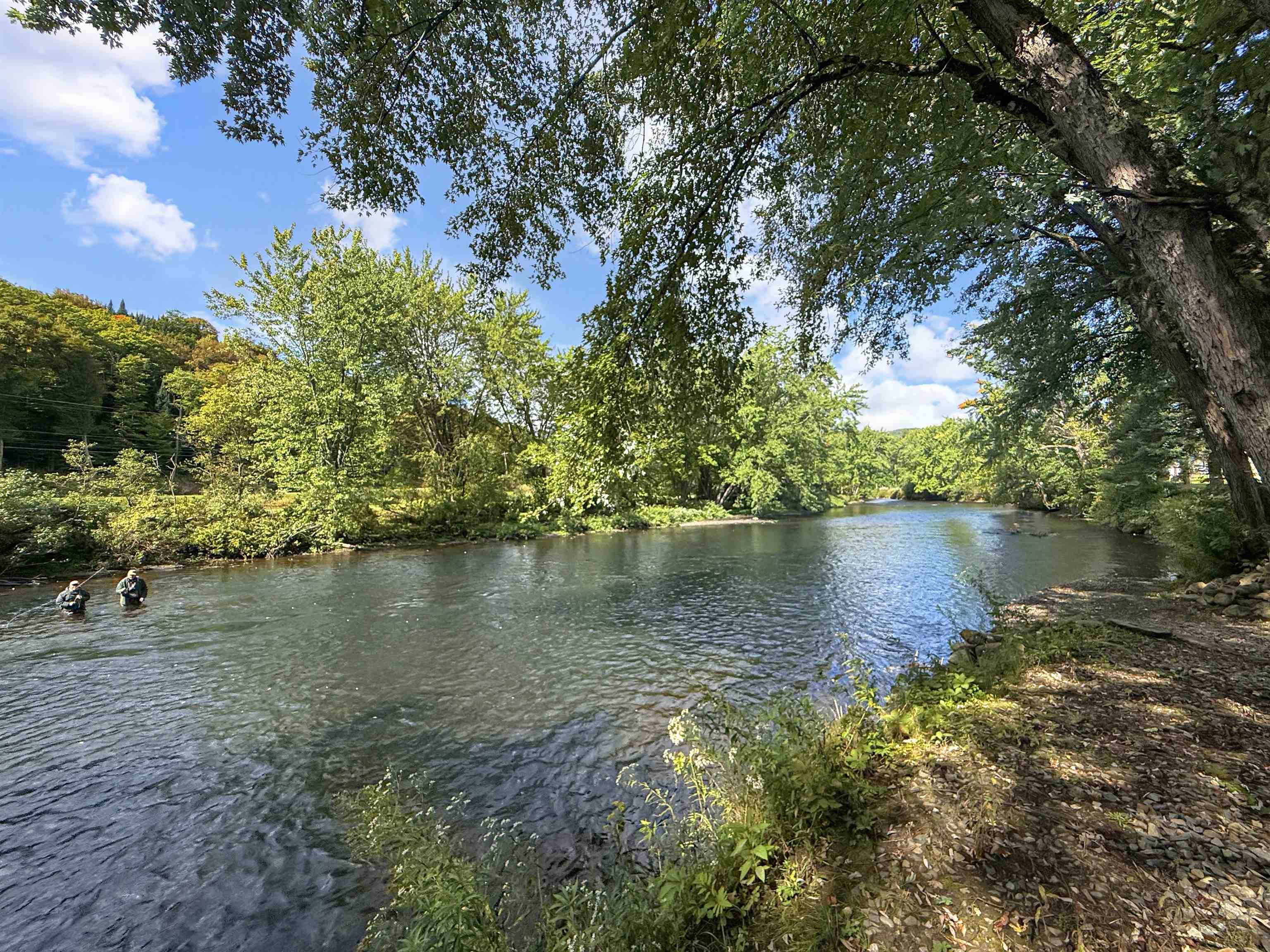 456 River Road photo 12