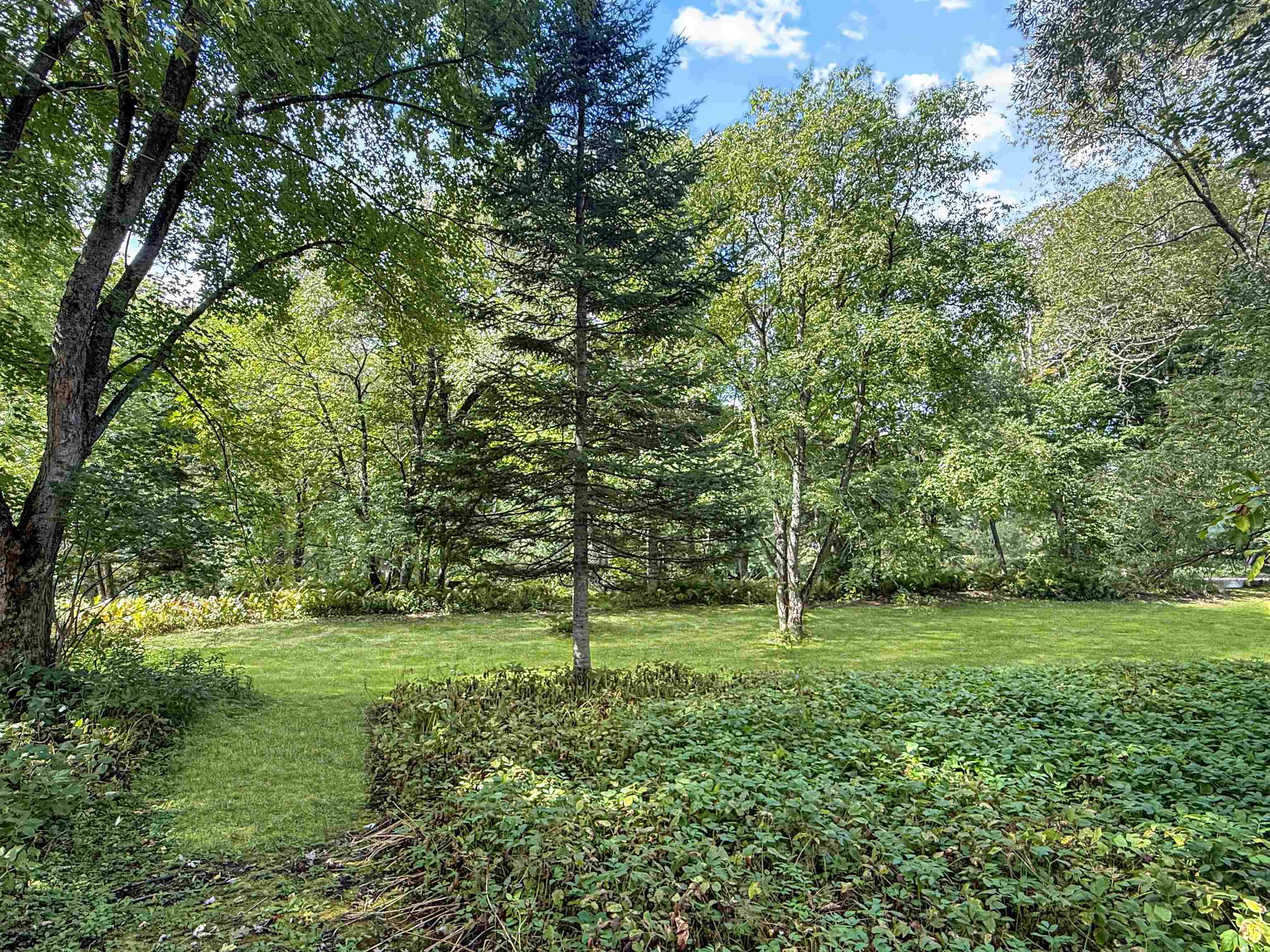 456 River Road photo 16