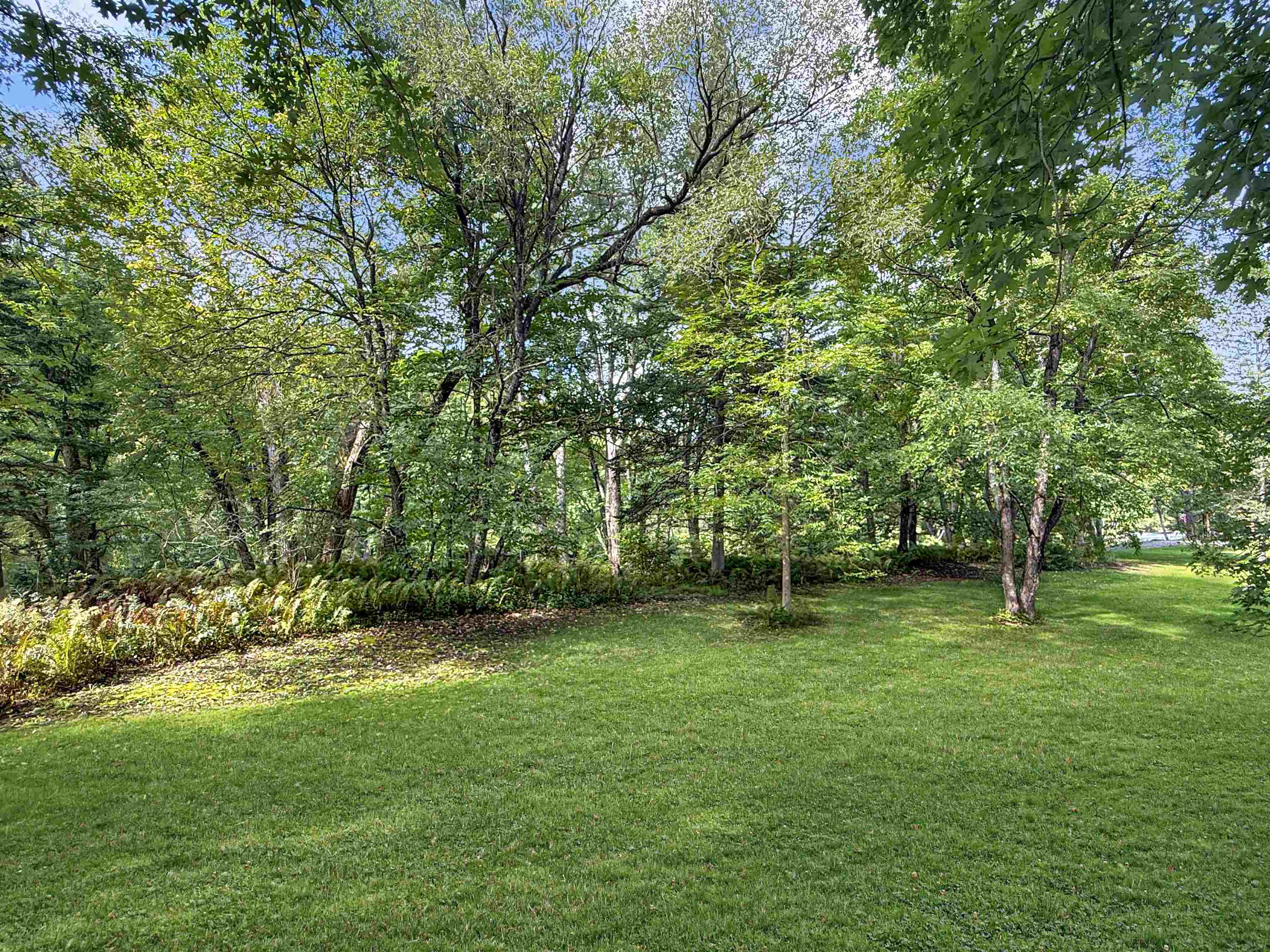 456 River Road photo 17